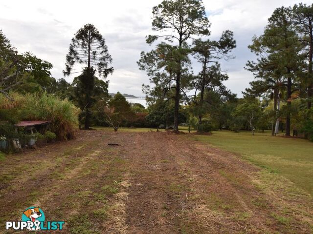 11 Canaipa Point Dve RUSSELL ISLAND QLD 4184