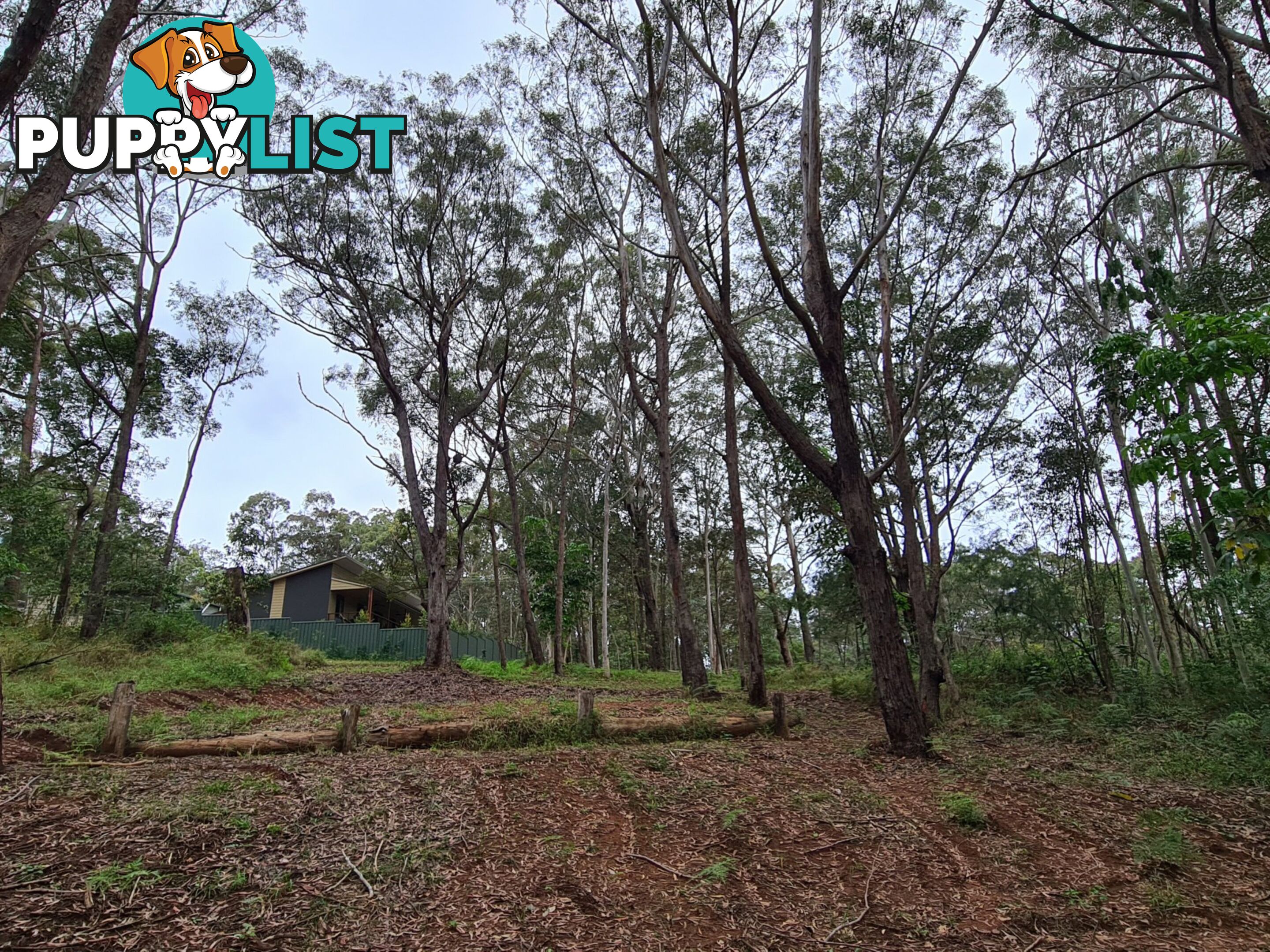 18 Lawson Street RUSSELL ISLAND QLD 4184
