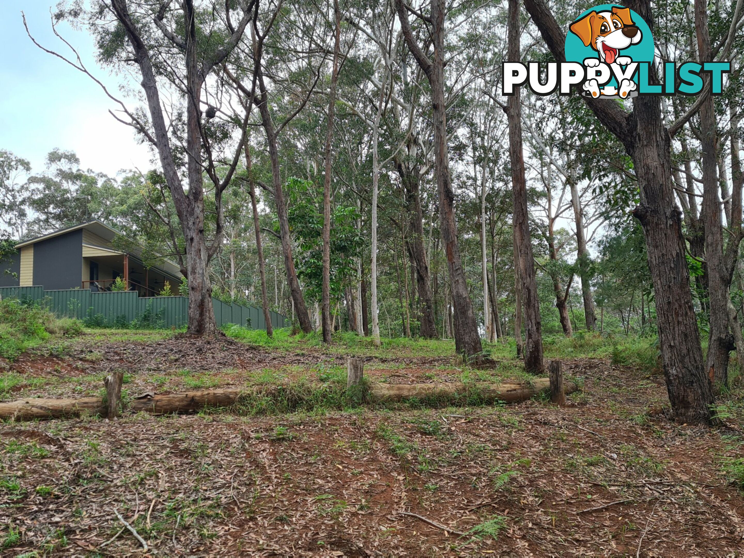 18 Lawson Street RUSSELL ISLAND QLD 4184