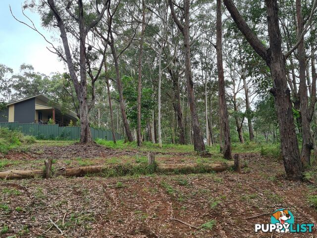 18 Lawson Street RUSSELL ISLAND QLD 4184