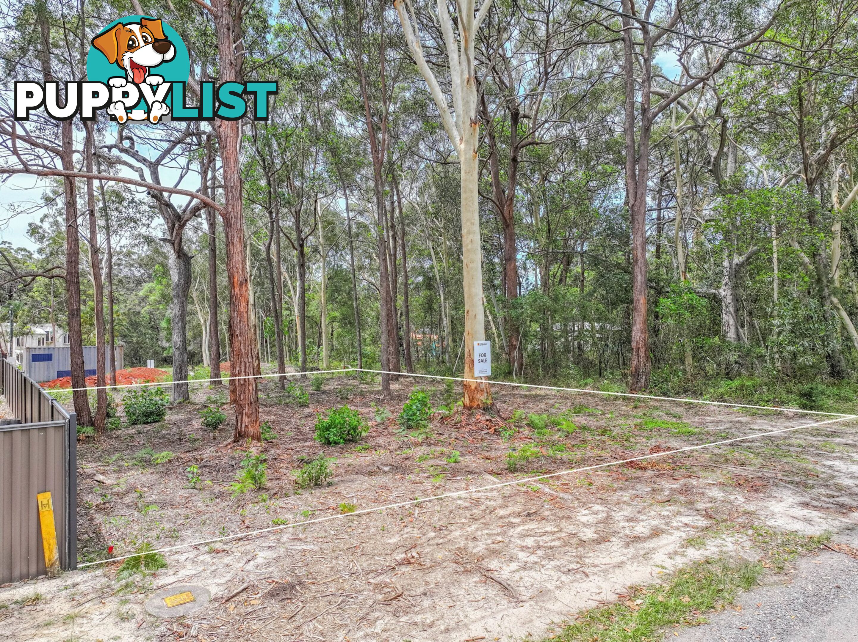 37 Cook Avenue RUSSELL ISLAND QLD 4184