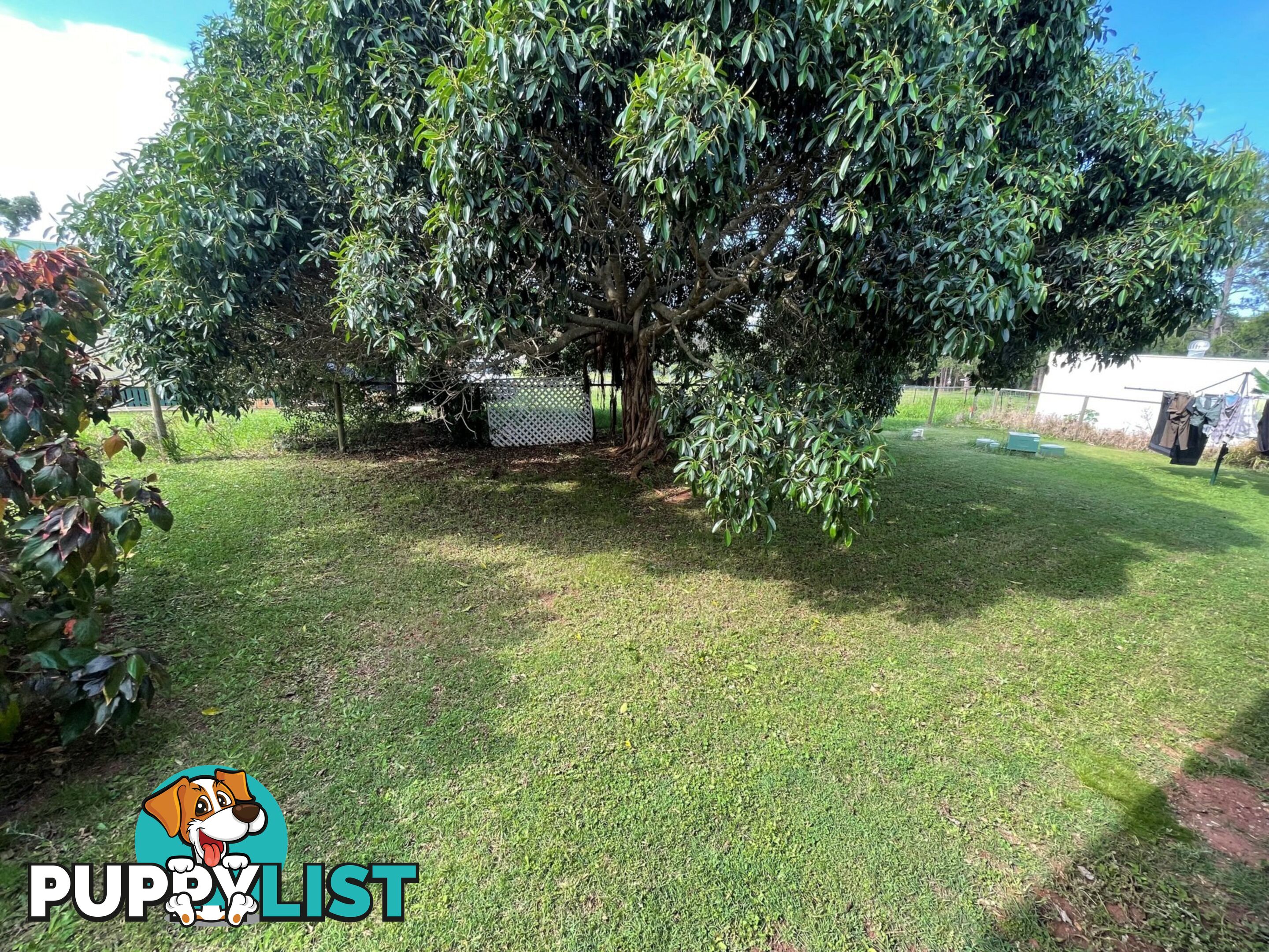 3 Grevillea Street RUSSELL ISLAND QLD 4184