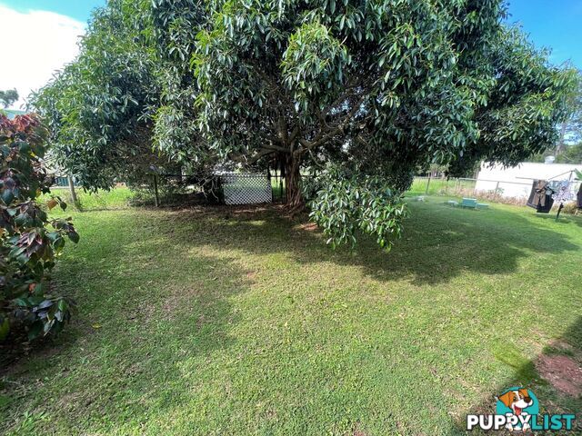 3 Grevillea Street RUSSELL ISLAND QLD 4184