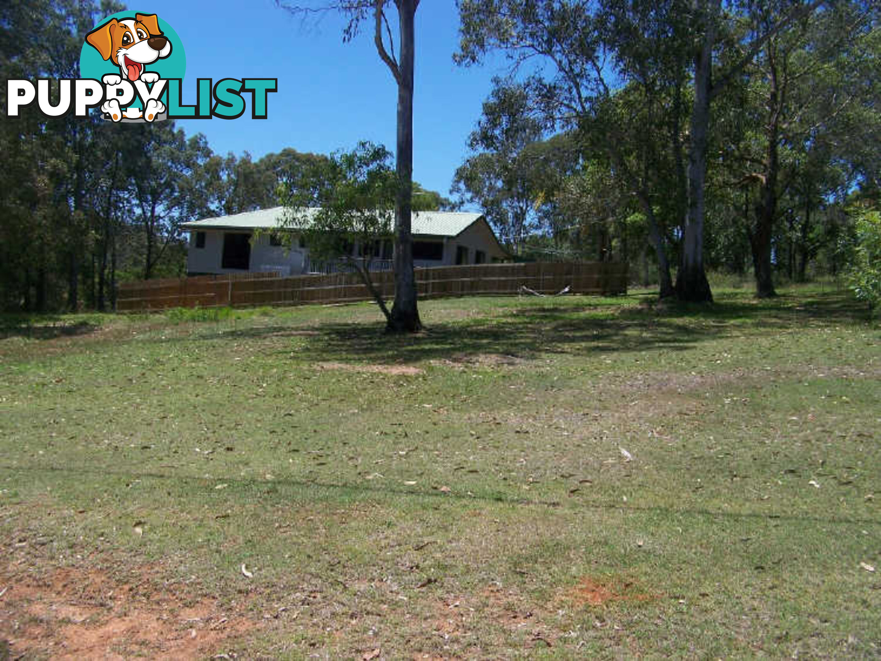 56 Jingella Ave RUSSELL ISLAND QLD 4184