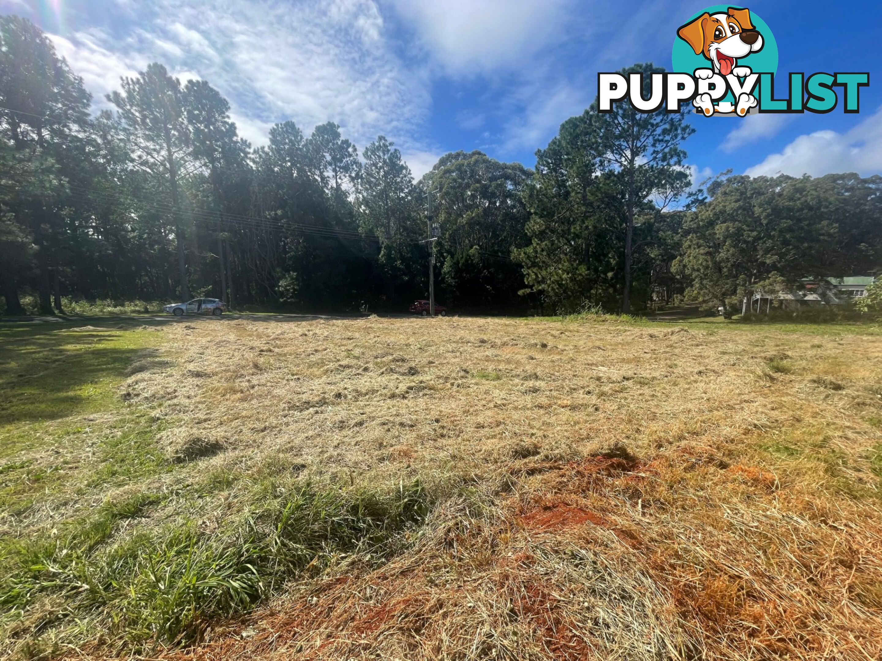 20 Titala Street RUSSELL ISLAND QLD 4184