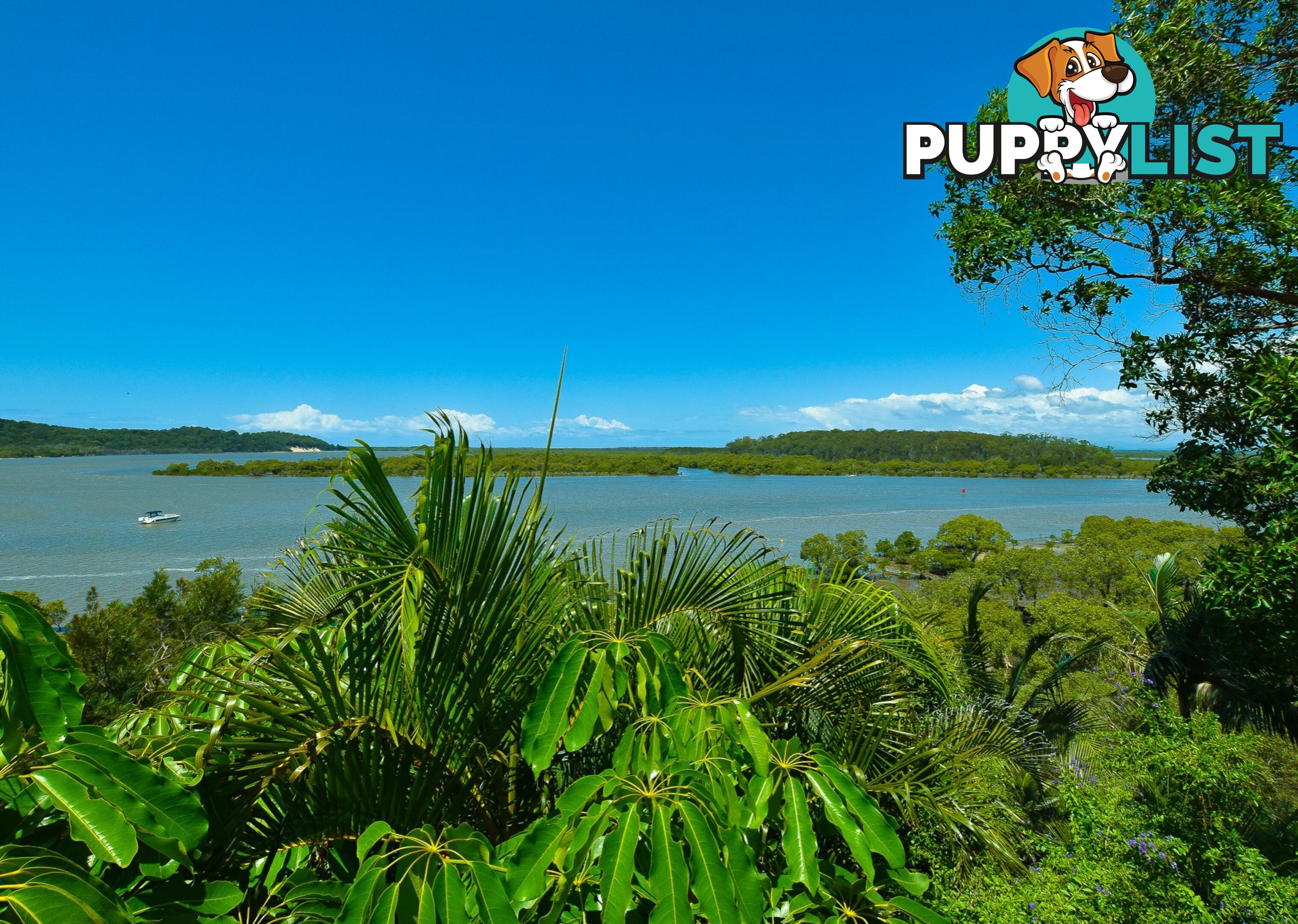 104 Crescent Dve RUSSELL ISLAND QLD 4184