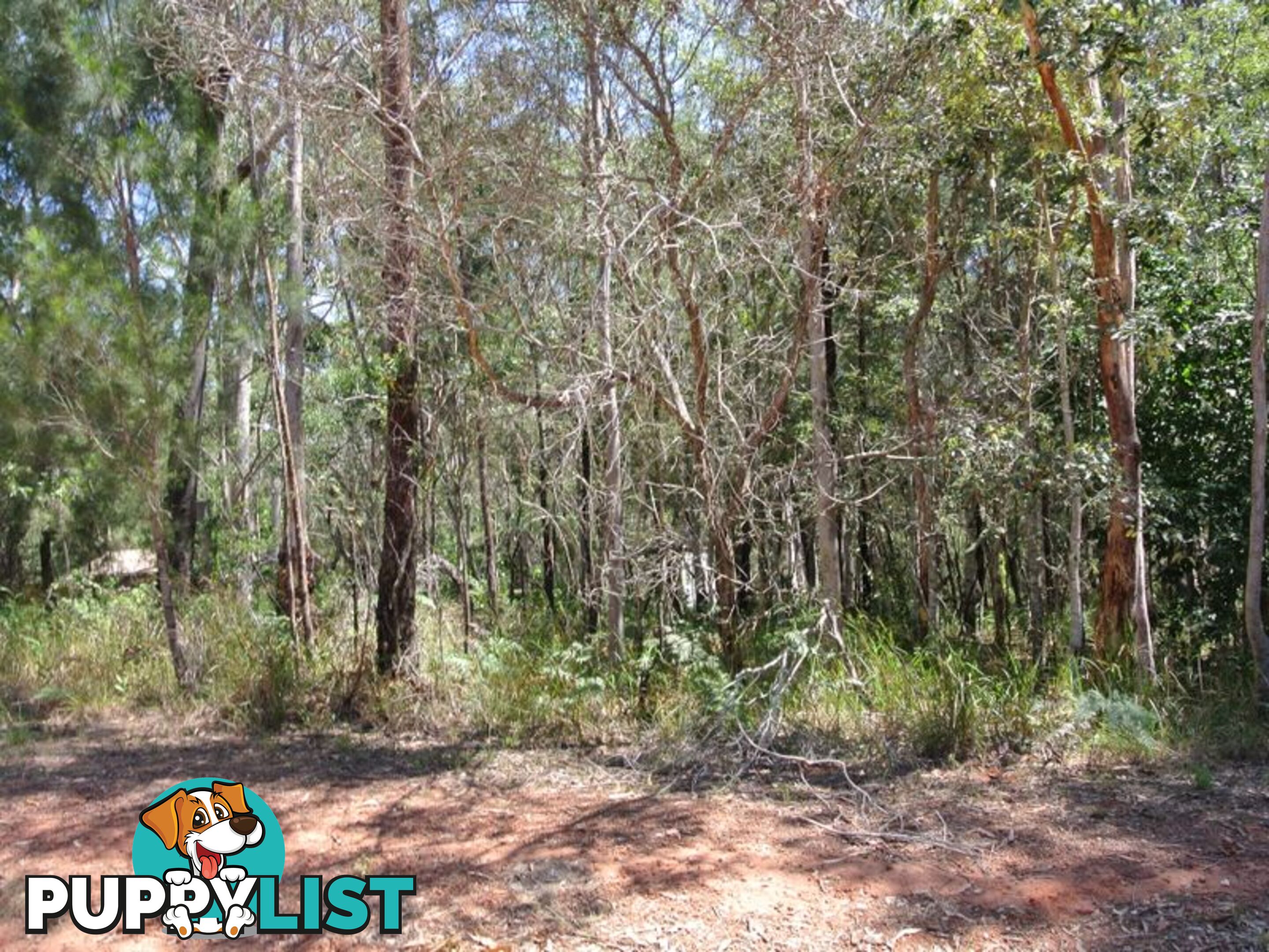 38 Hacking Ridge Road RUSSELL ISLAND QLD 4184