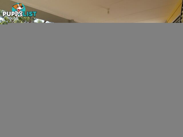 2 Todman Street RUSSELL ISLAND QLD 4184