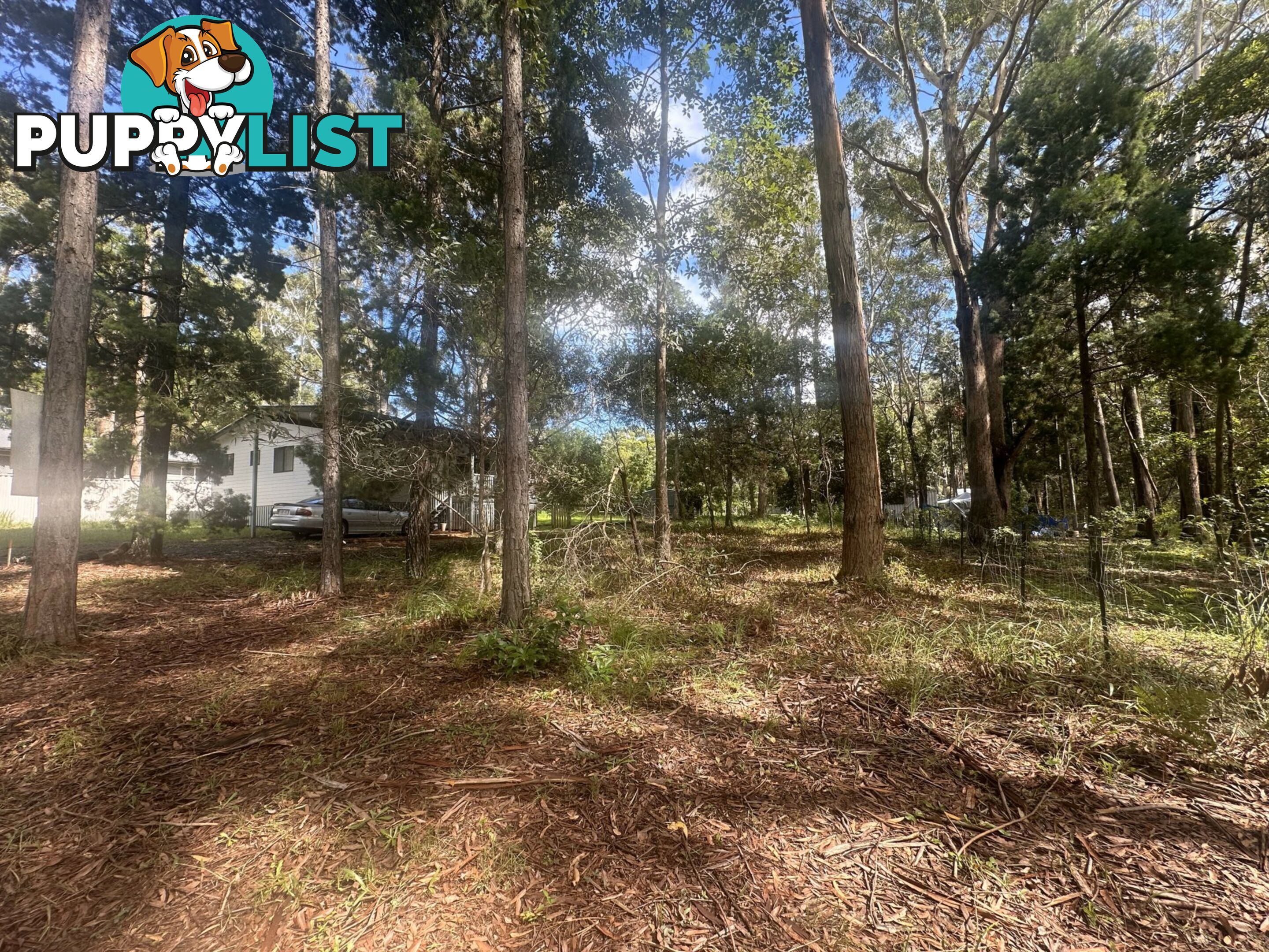 13 Meadstone RUSSELL ISLAND QLD 4184