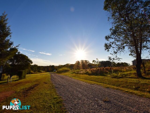 29 Roebuck Rd RUSSELL ISLAND QLD 4184