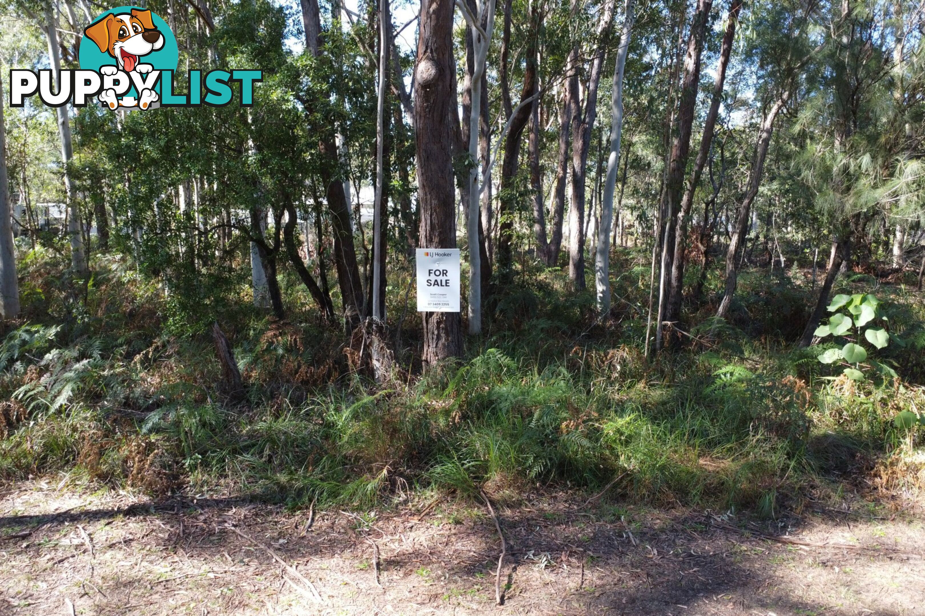17 Woodlands Circuit RUSSELL ISLAND QLD 4184