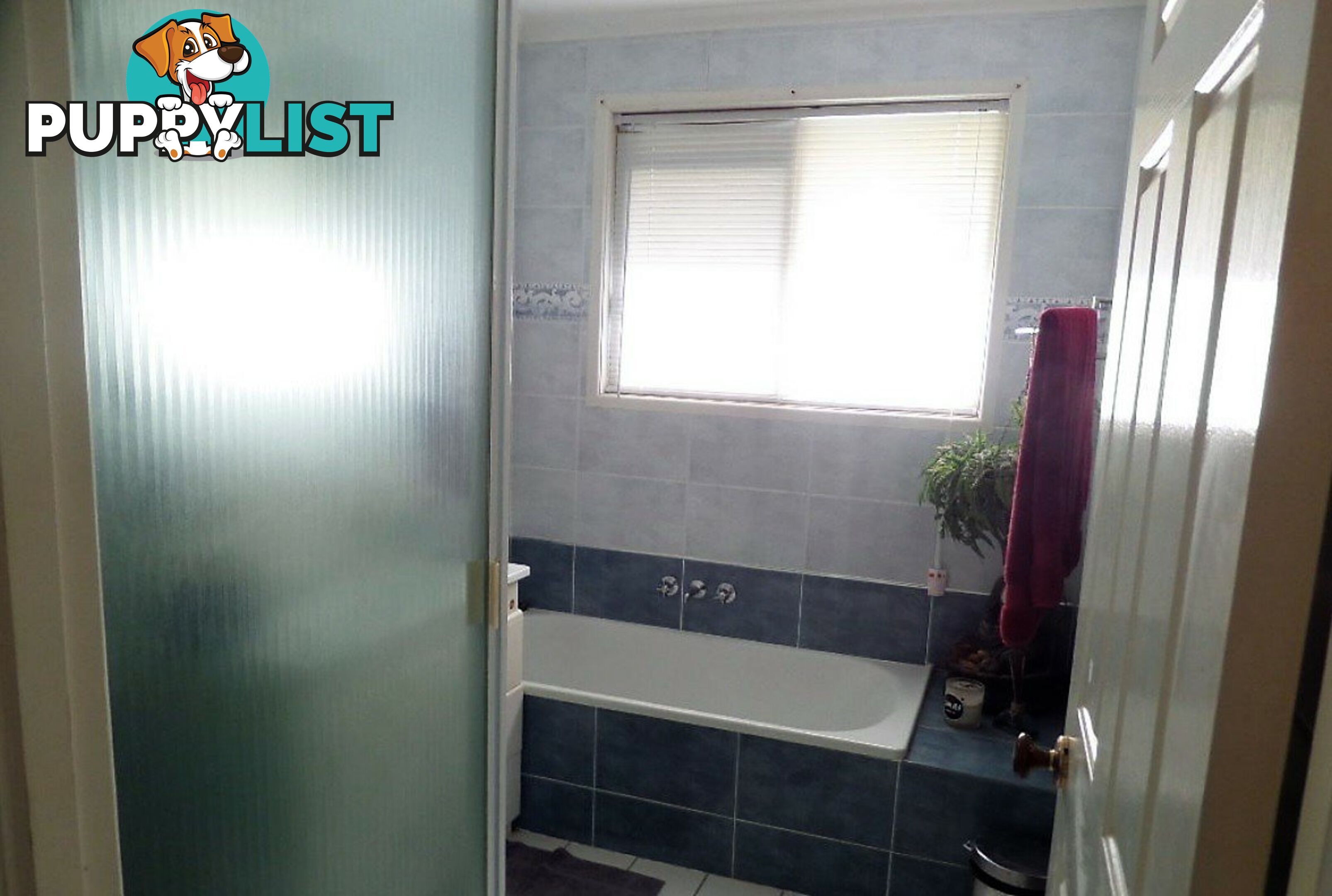 66 Crescent Drive RUSSELL ISLAND QLD 4184