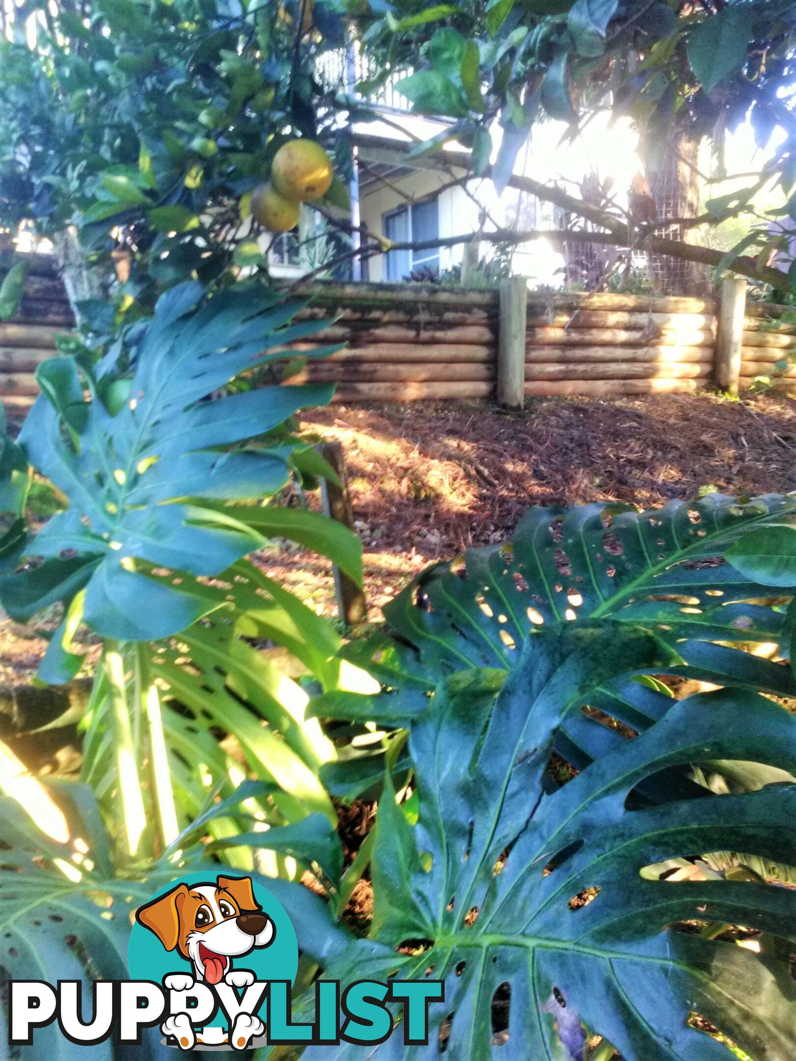 66 Crescent Drive RUSSELL ISLAND QLD 4184