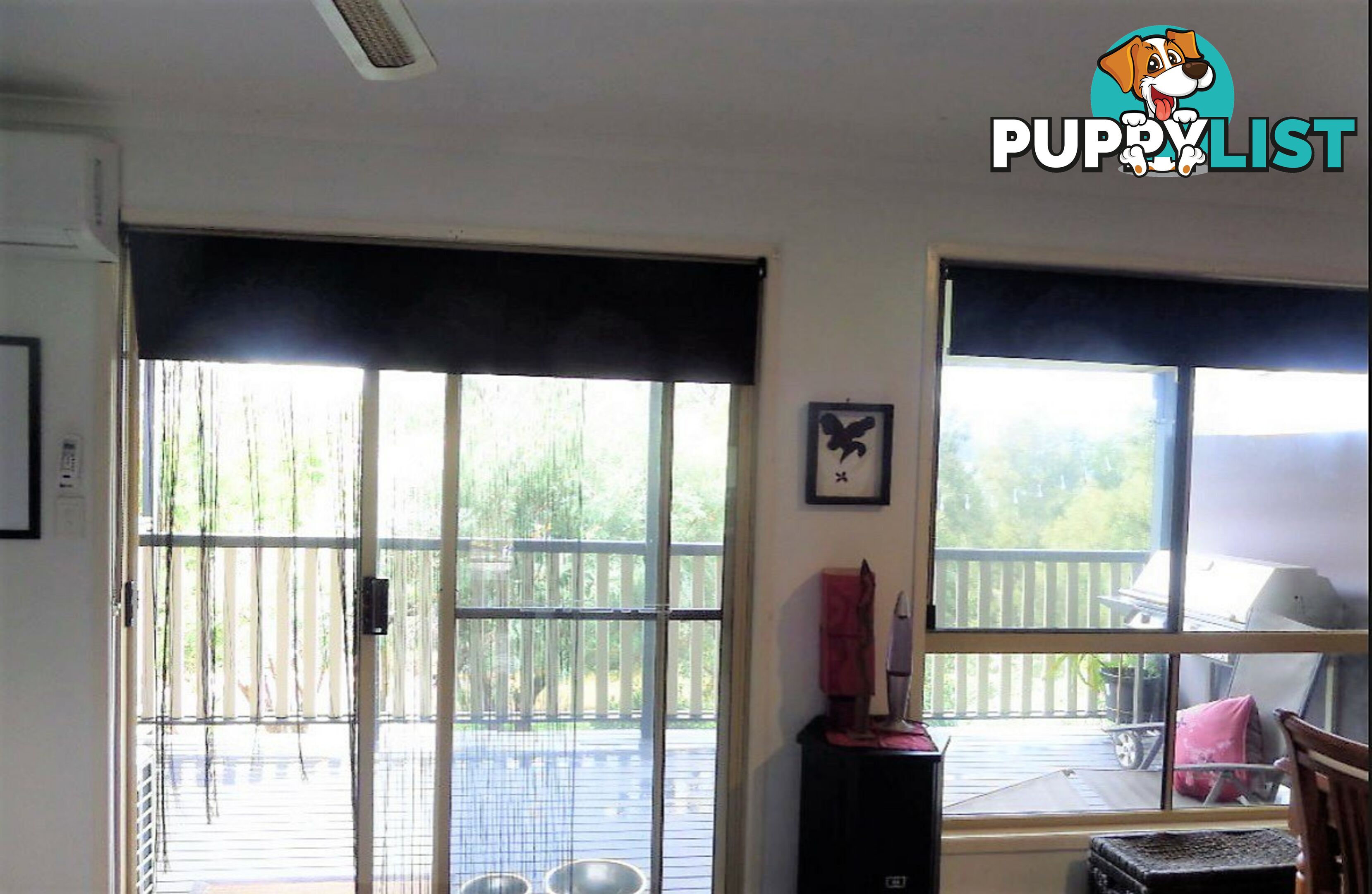 66 Crescent Drive RUSSELL ISLAND QLD 4184
