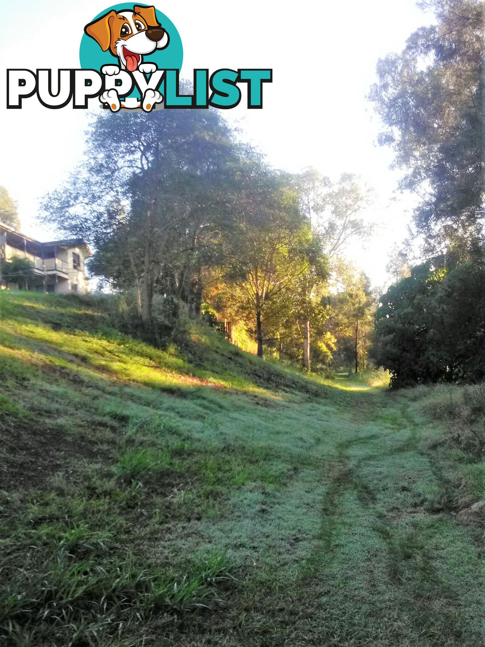 66 Crescent Drive RUSSELL ISLAND QLD 4184