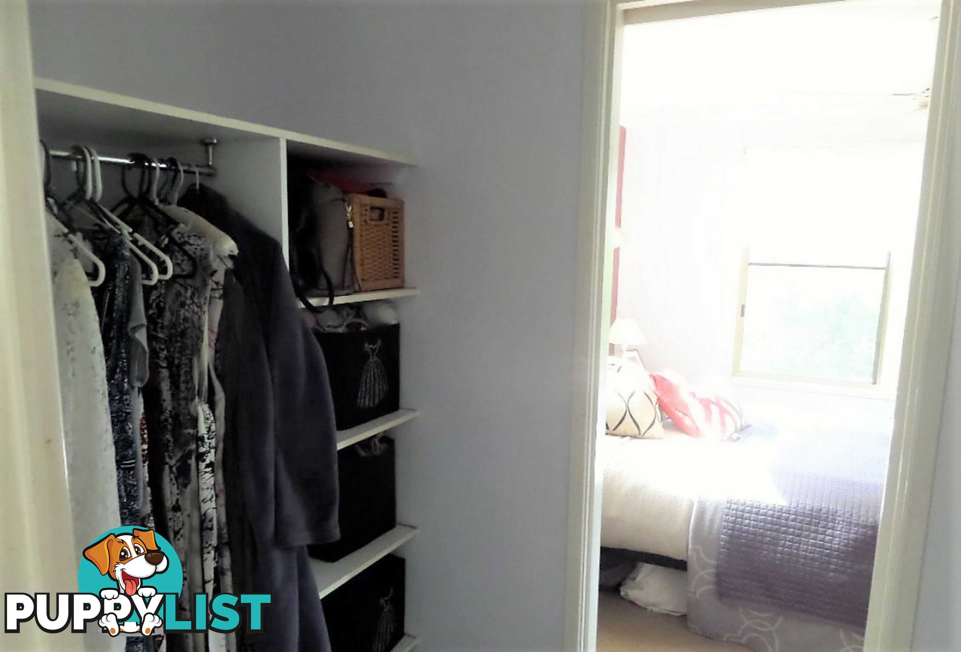 66 Crescent Drive RUSSELL ISLAND QLD 4184