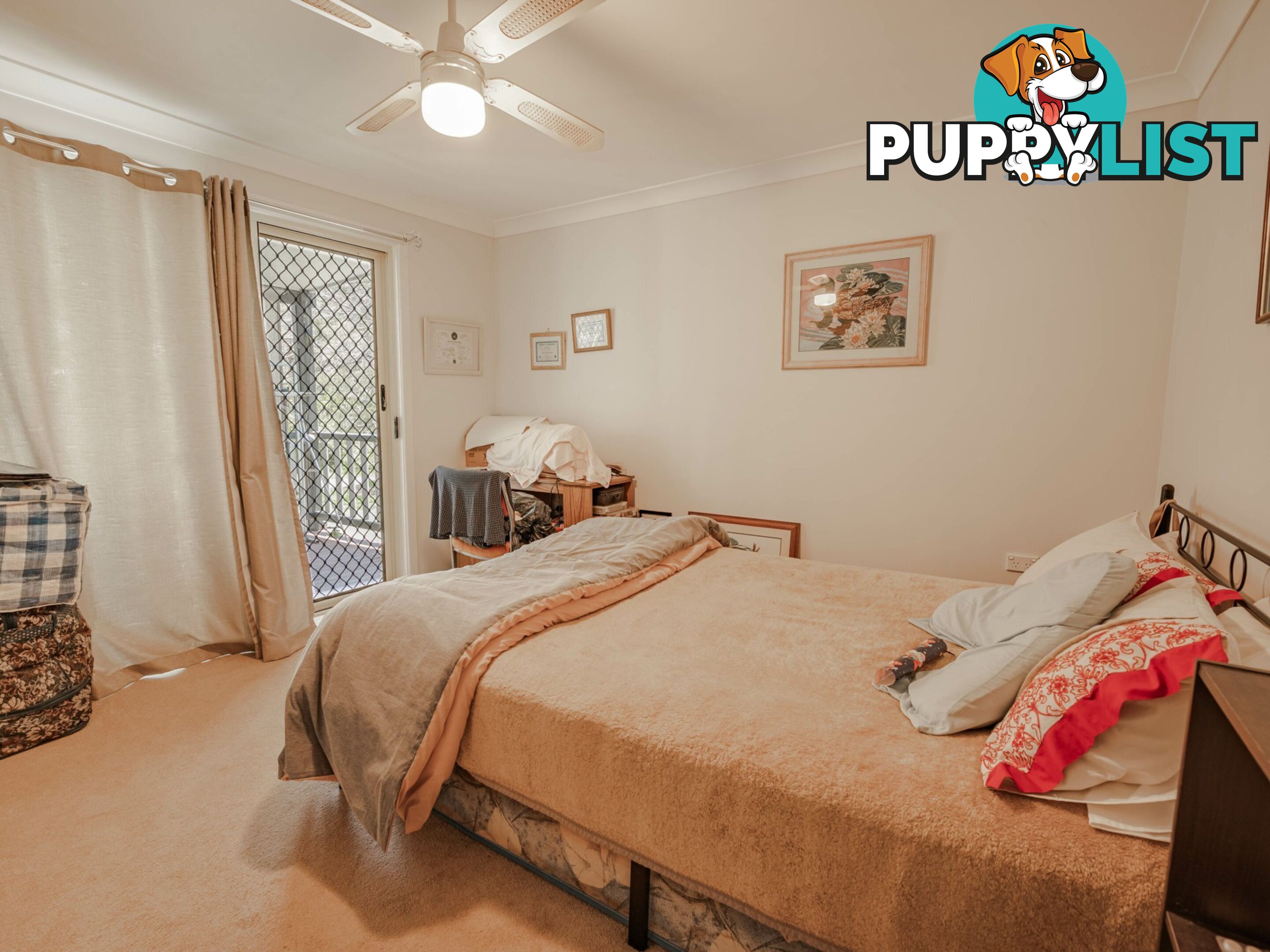 31 Jasper Street RUSSELL ISLAND QLD 4184