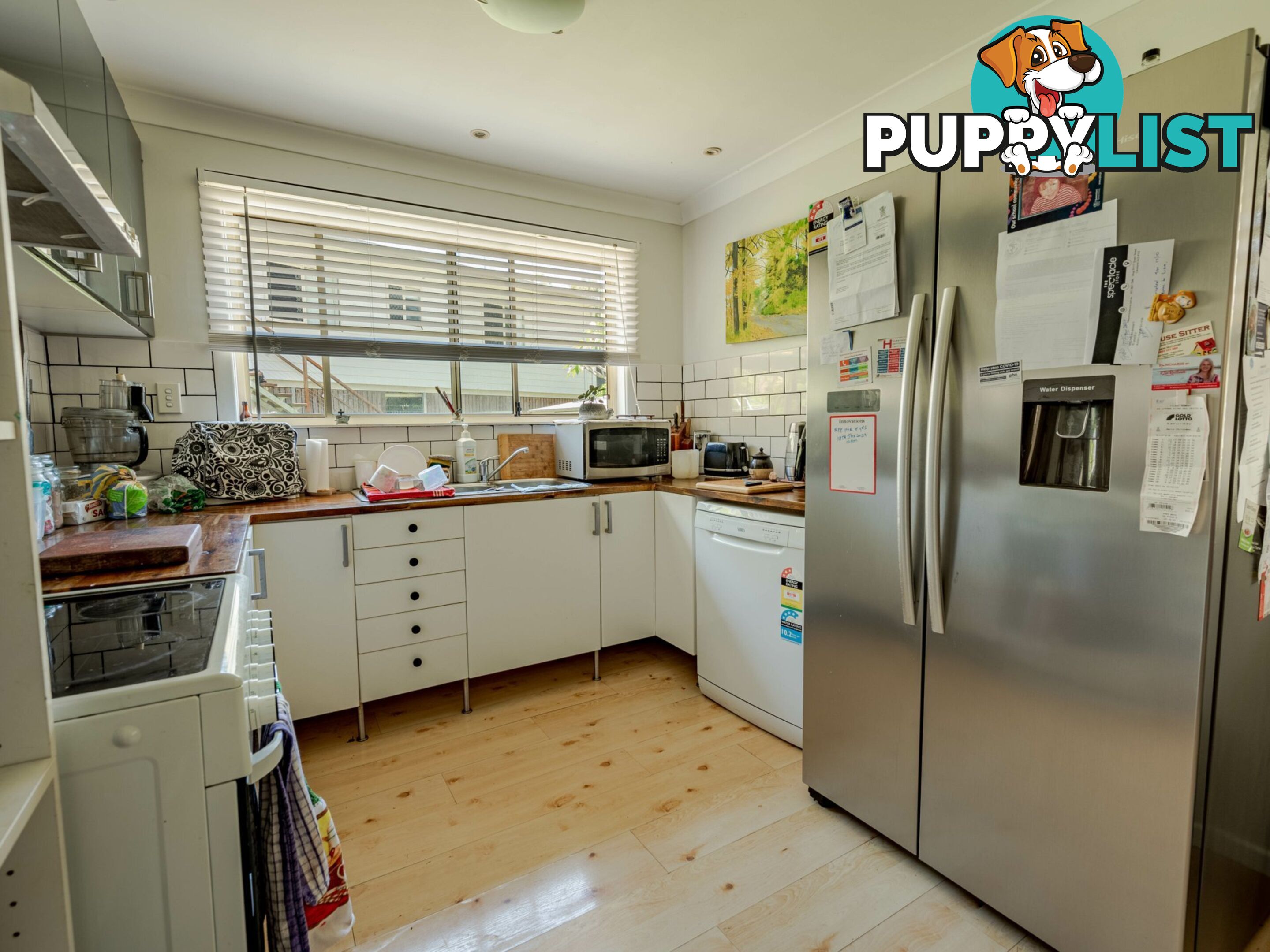 31 Jasper Street RUSSELL ISLAND QLD 4184