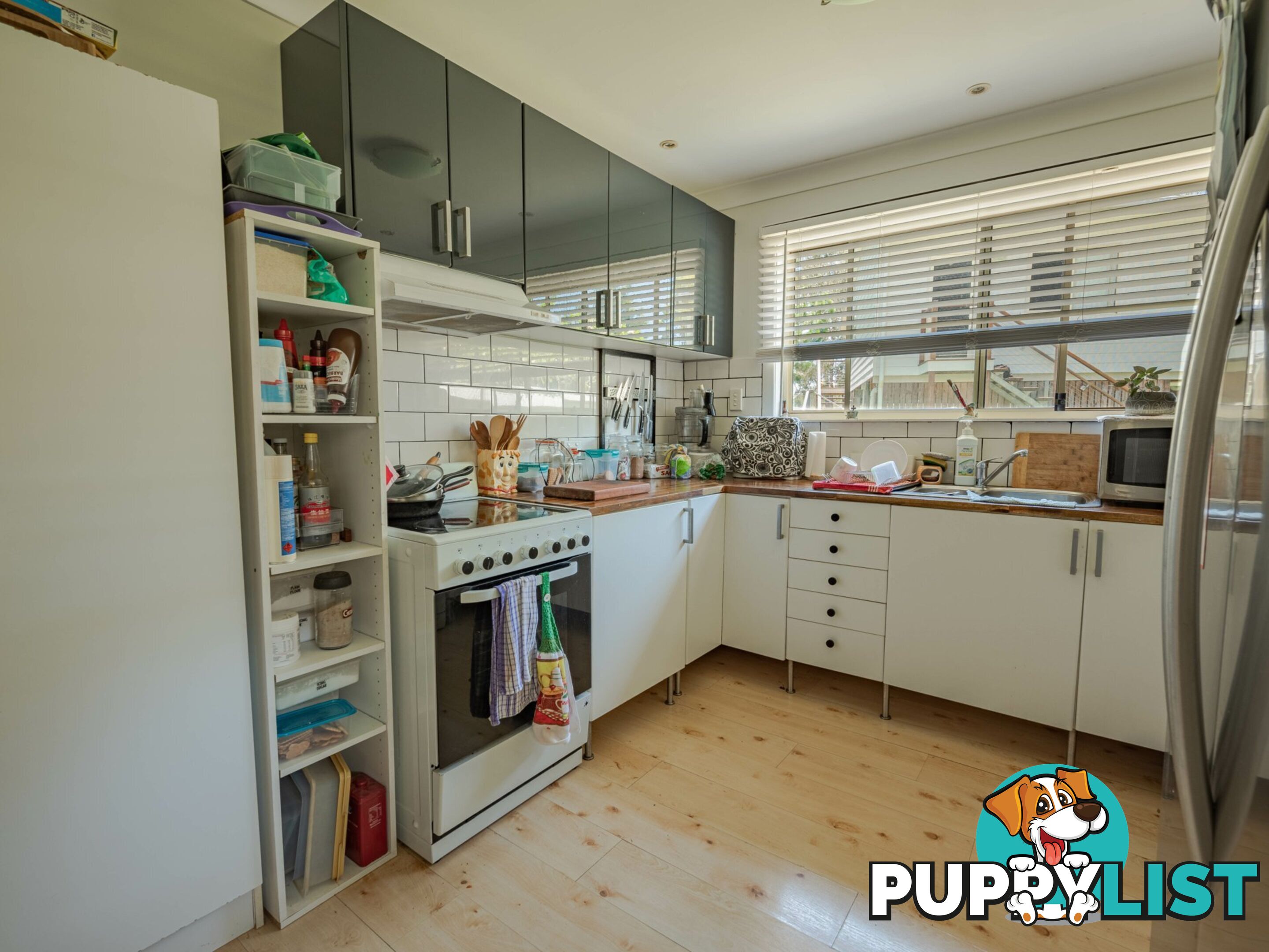 31 Jasper Street RUSSELL ISLAND QLD 4184