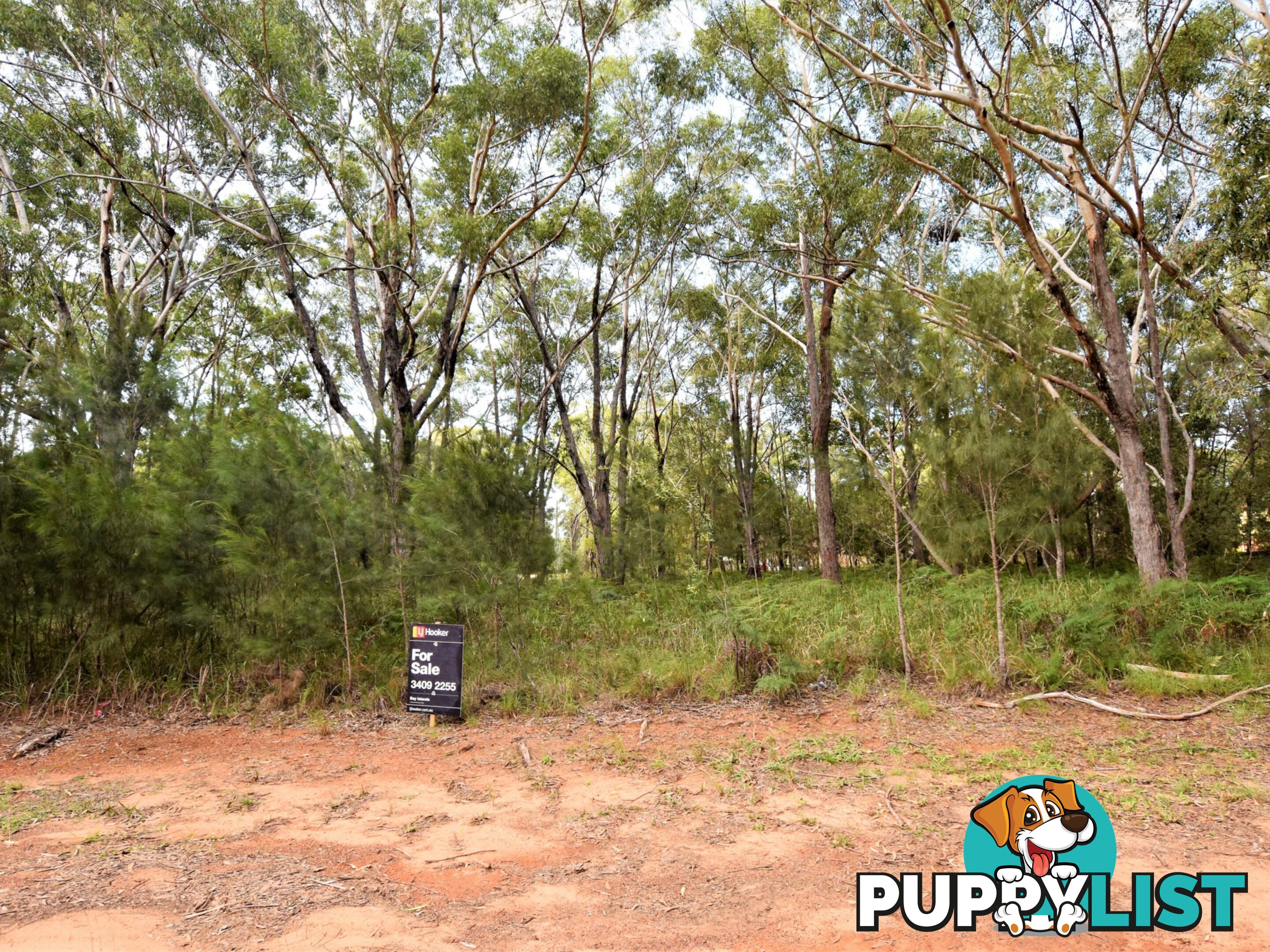 15 Loftus Cres RUSSELL ISLAND QLD 4184