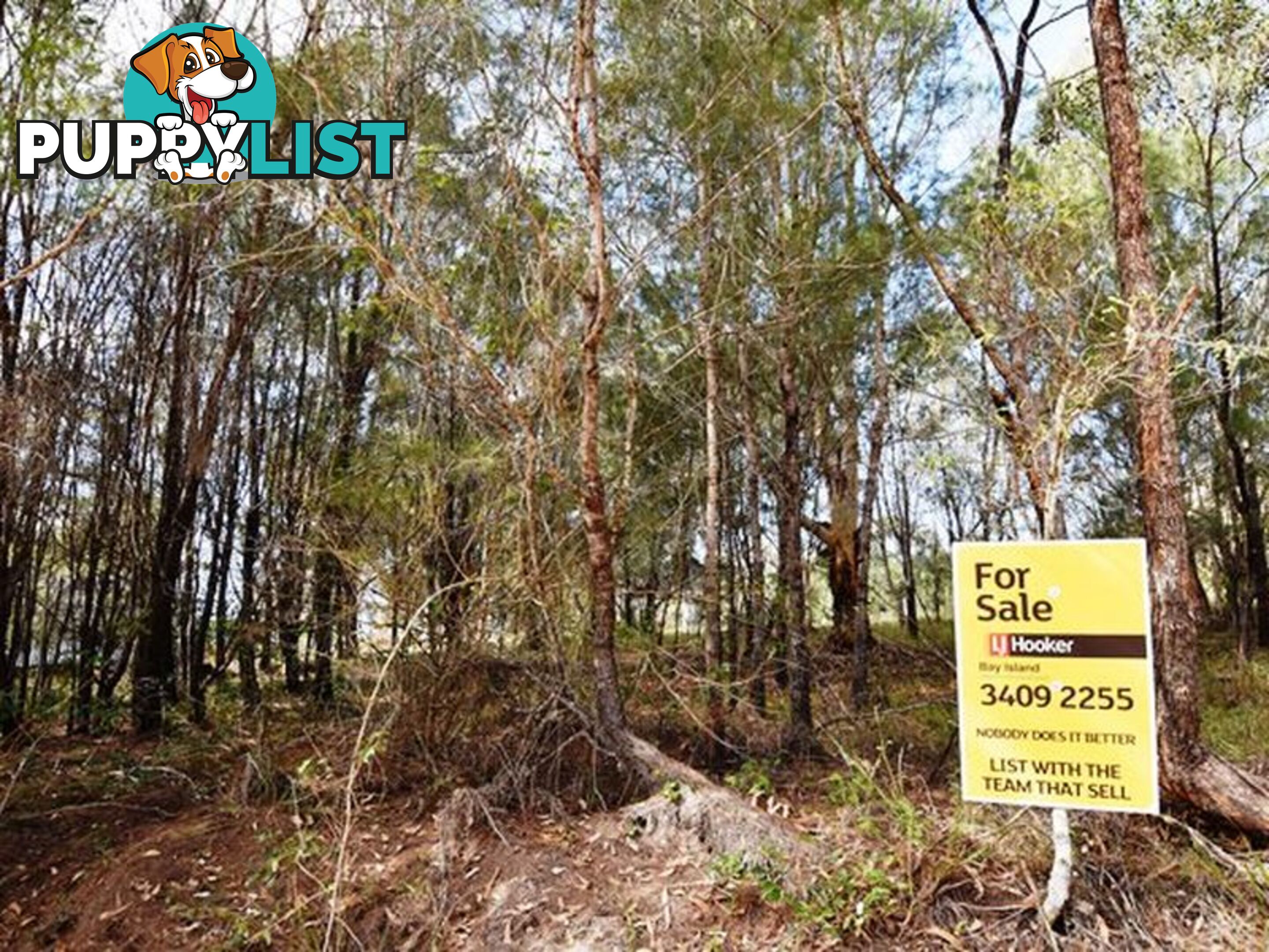 4 Amber RUSSELL ISLAND QLD 4184