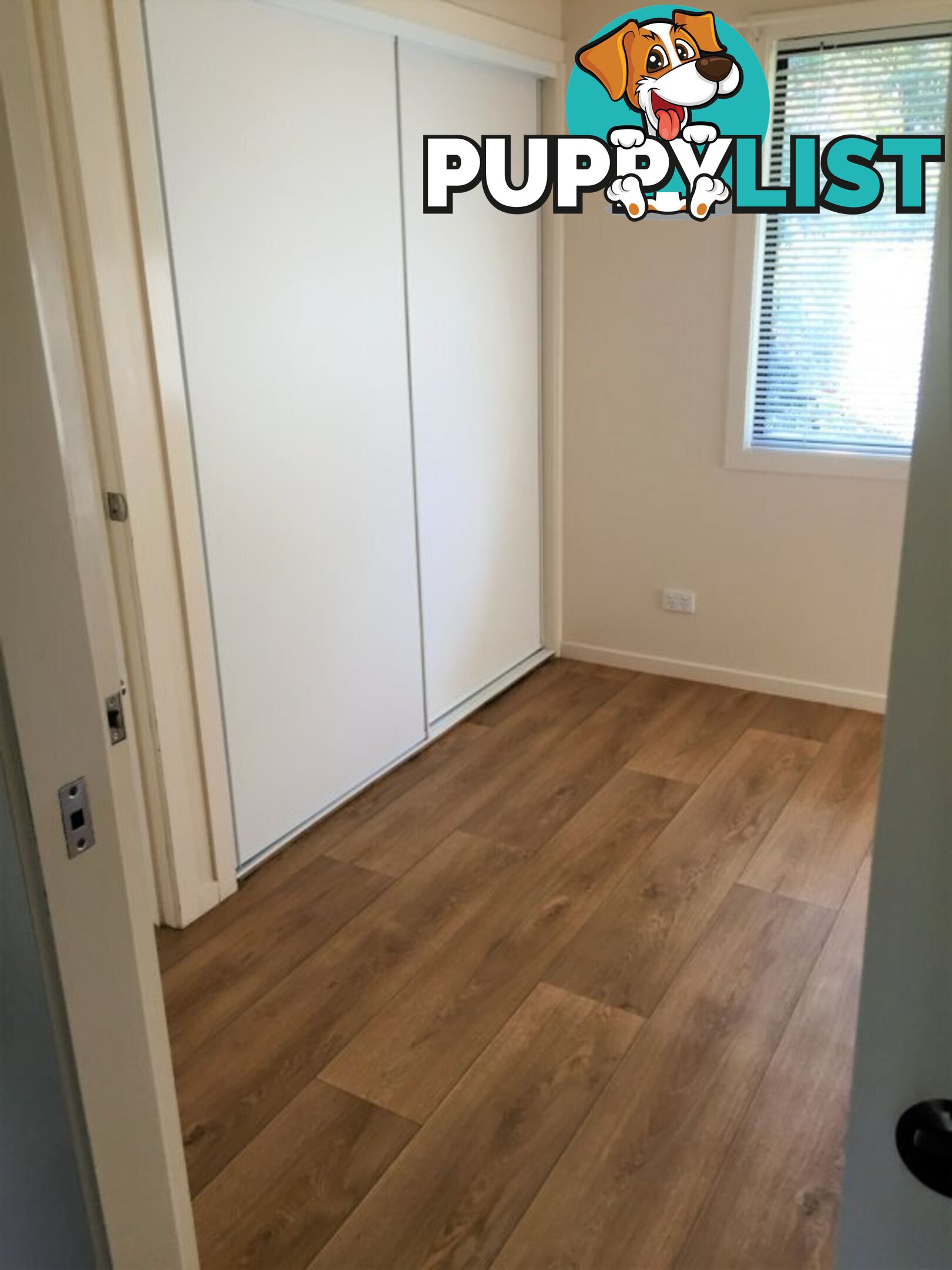 6 Sloop Street RUSSELL ISLAND QLD 4184