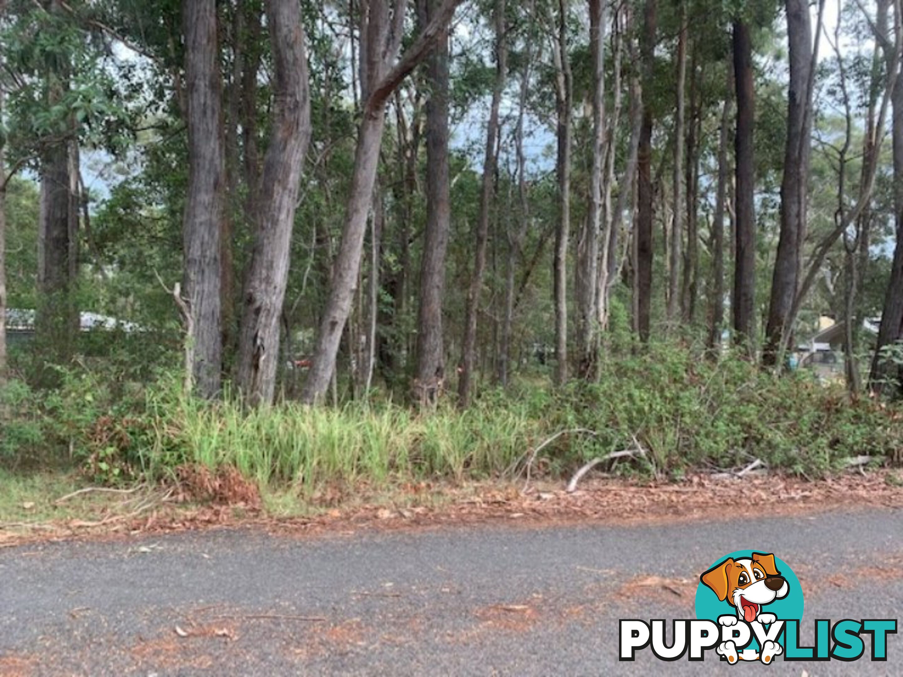 6 Angorra Street RUSSELL ISLAND QLD 4184