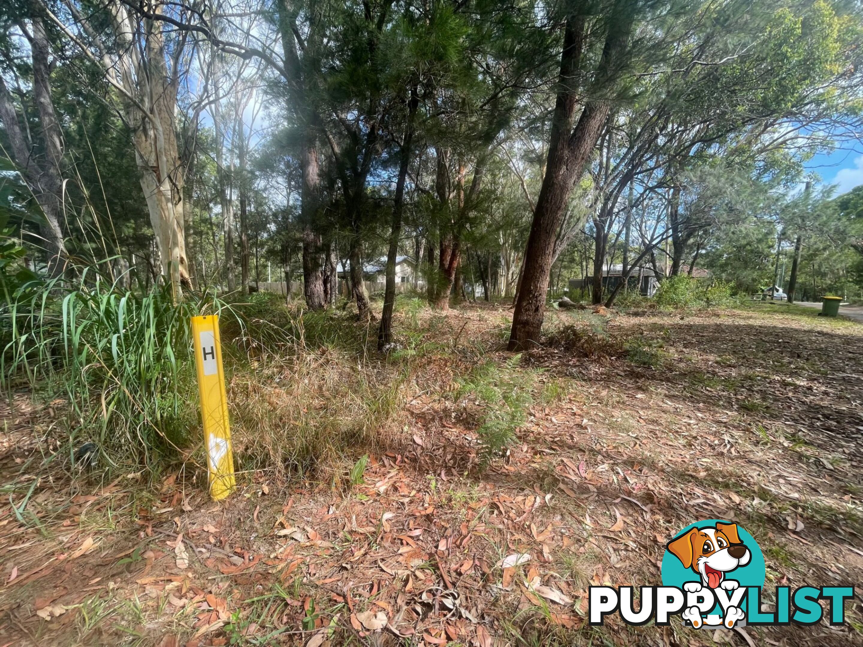 7 Calwood Cres RUSSELL ISLAND QLD 4184