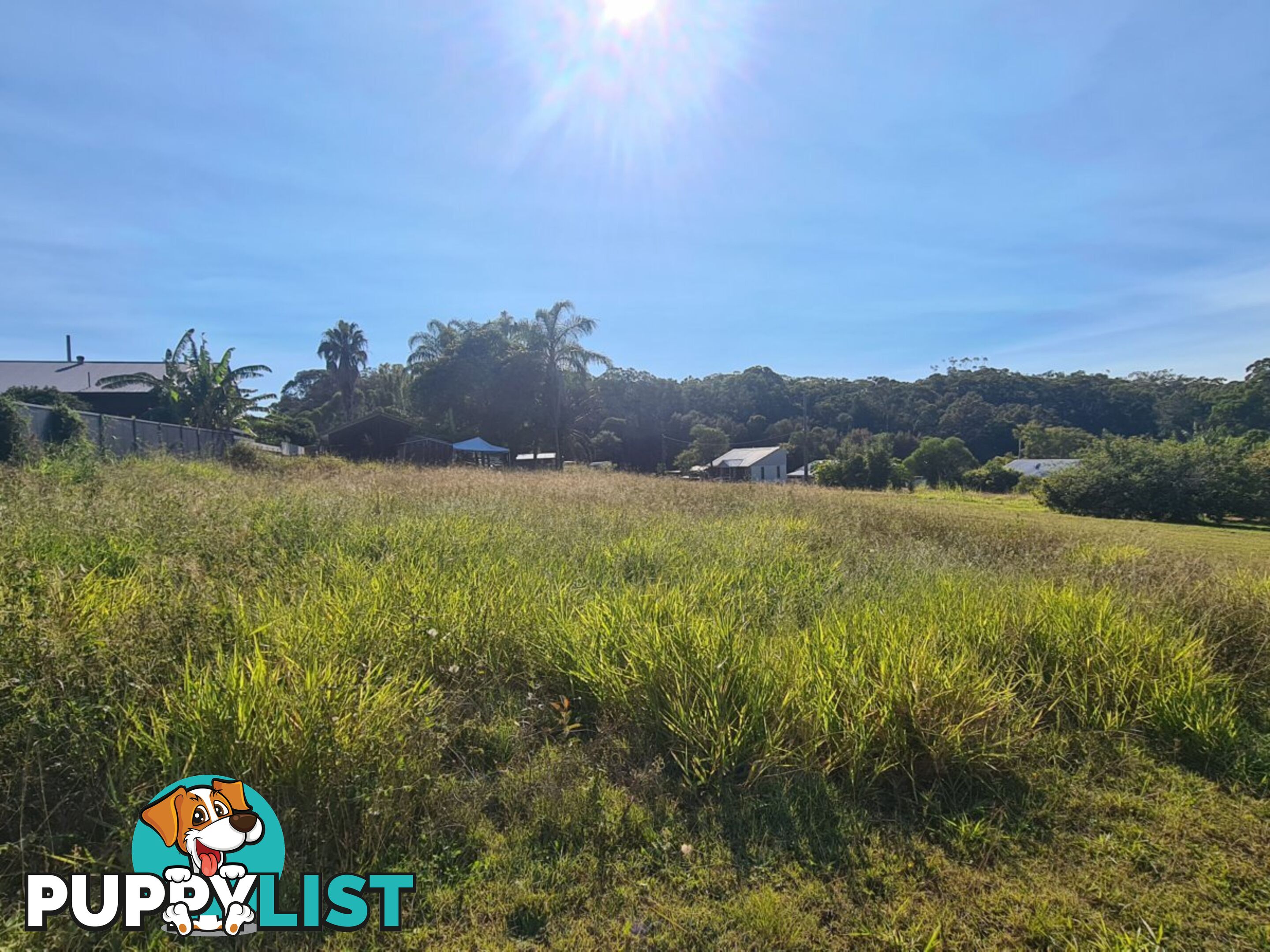 11 Norfolk St RUSSELL ISLAND QLD 4184