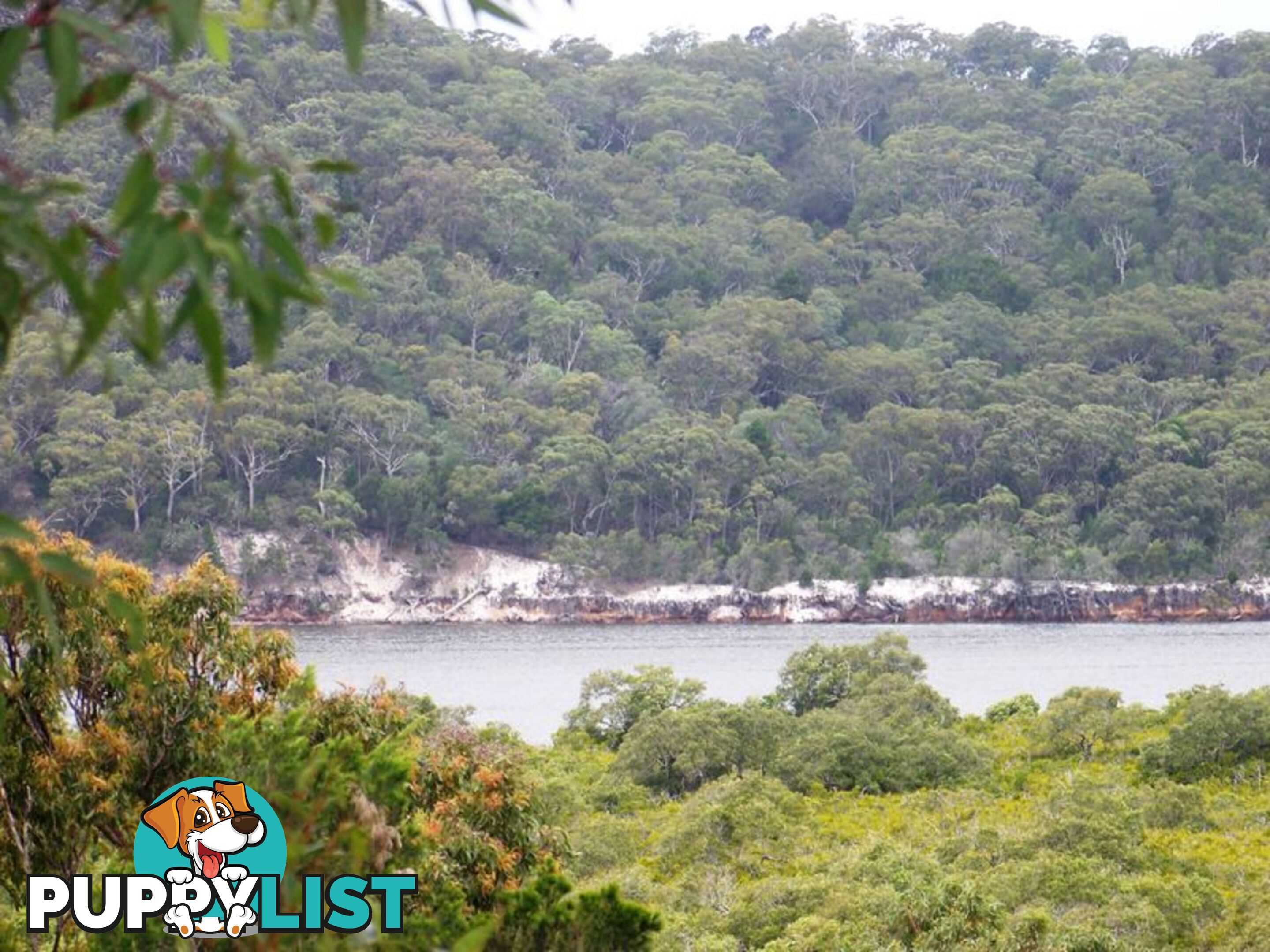 4 Naples Drive RUSSELL ISLAND QLD 4184