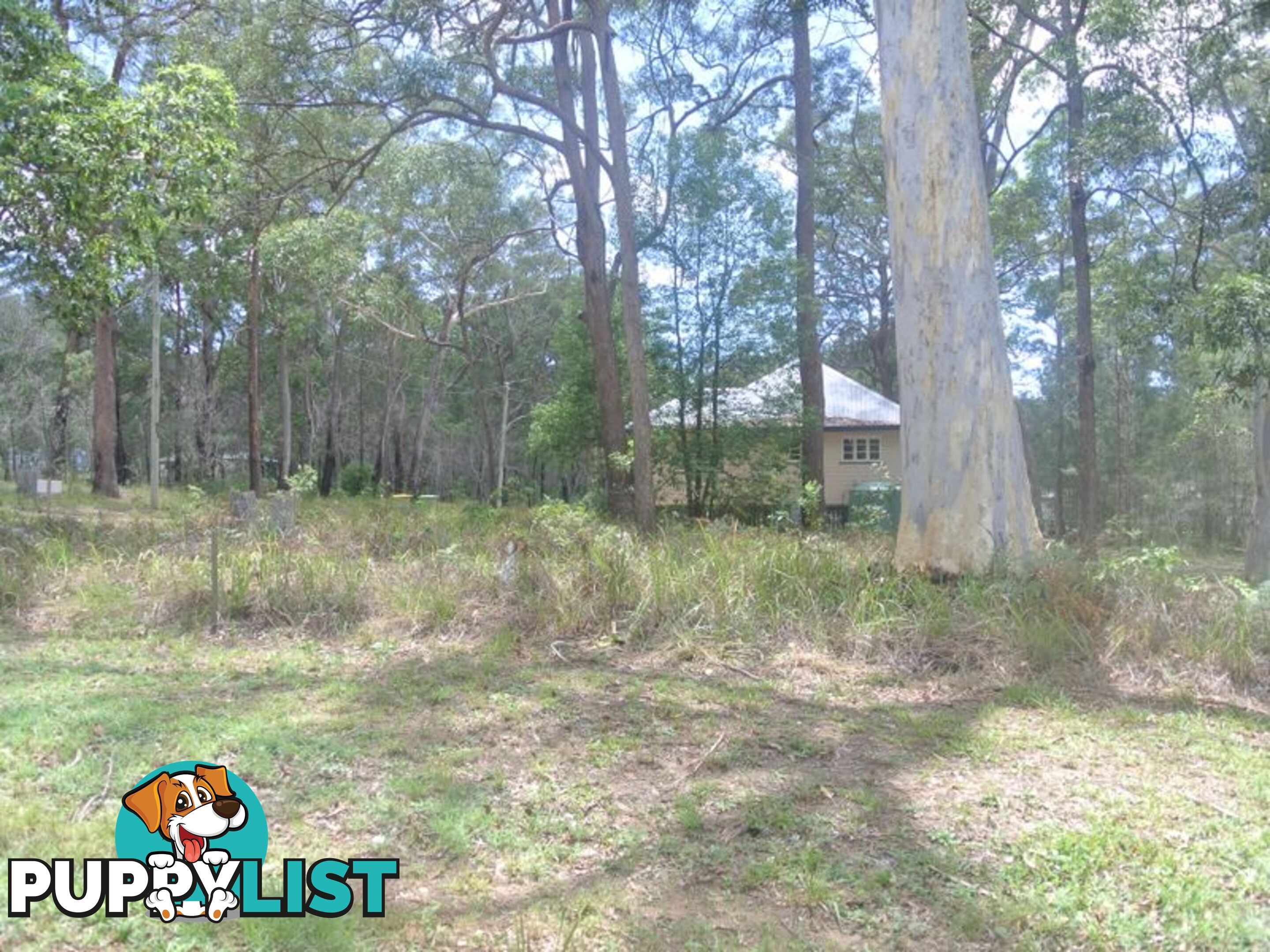 2 Kula St RUSSELL ISLAND QLD 4184