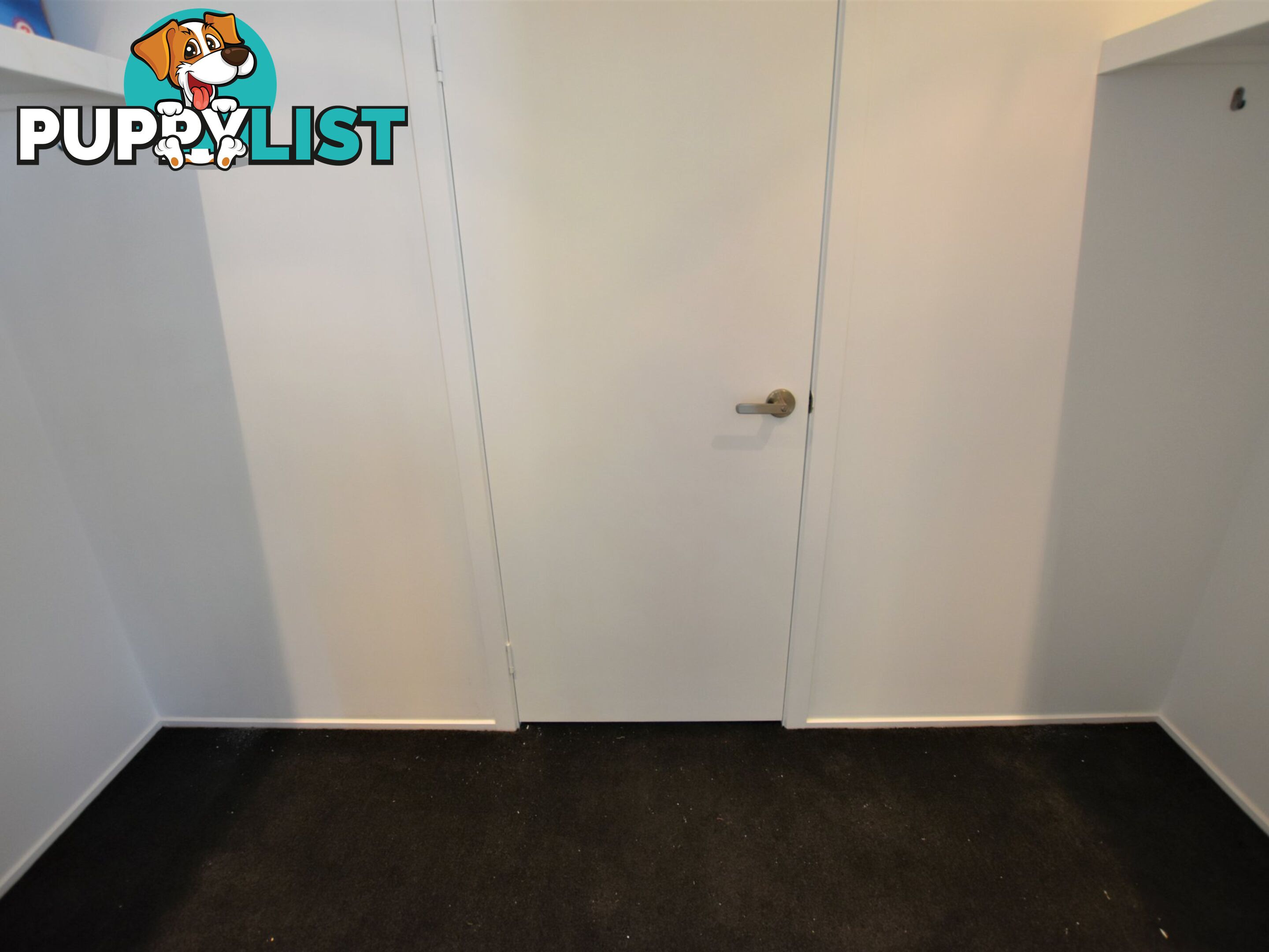 12 Tails Street RUSSELL ISLAND QLD 4184