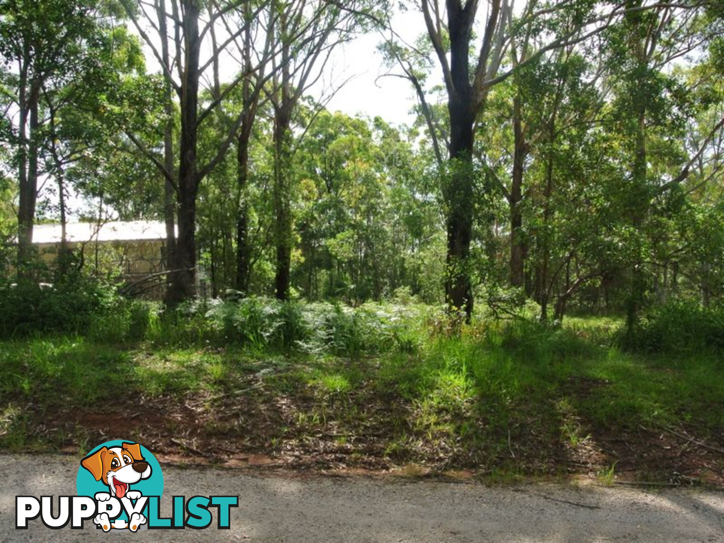 104 canaipa point drive RUSSELL ISLAND QLD 4184