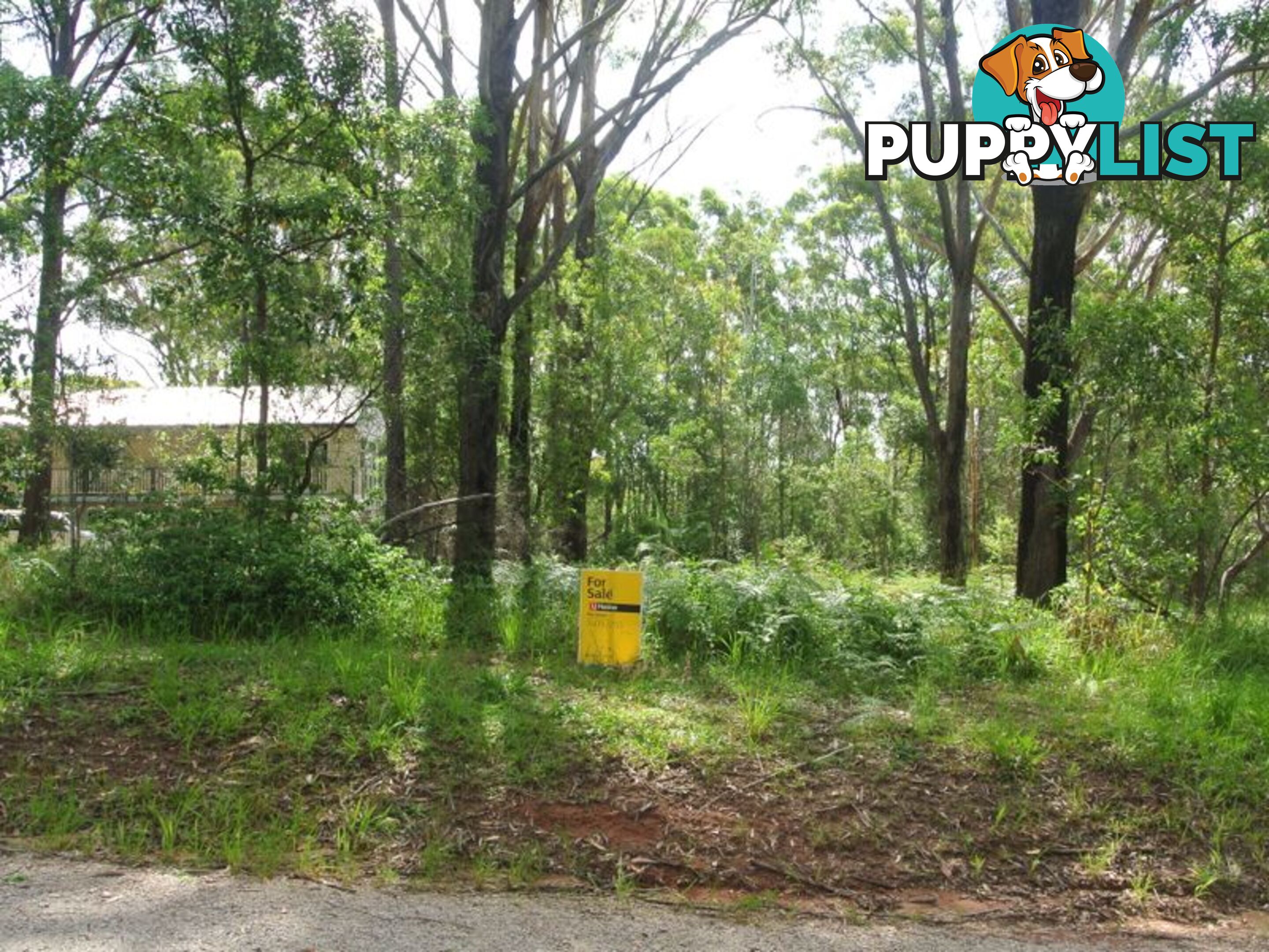 104 canaipa point drive RUSSELL ISLAND QLD 4184