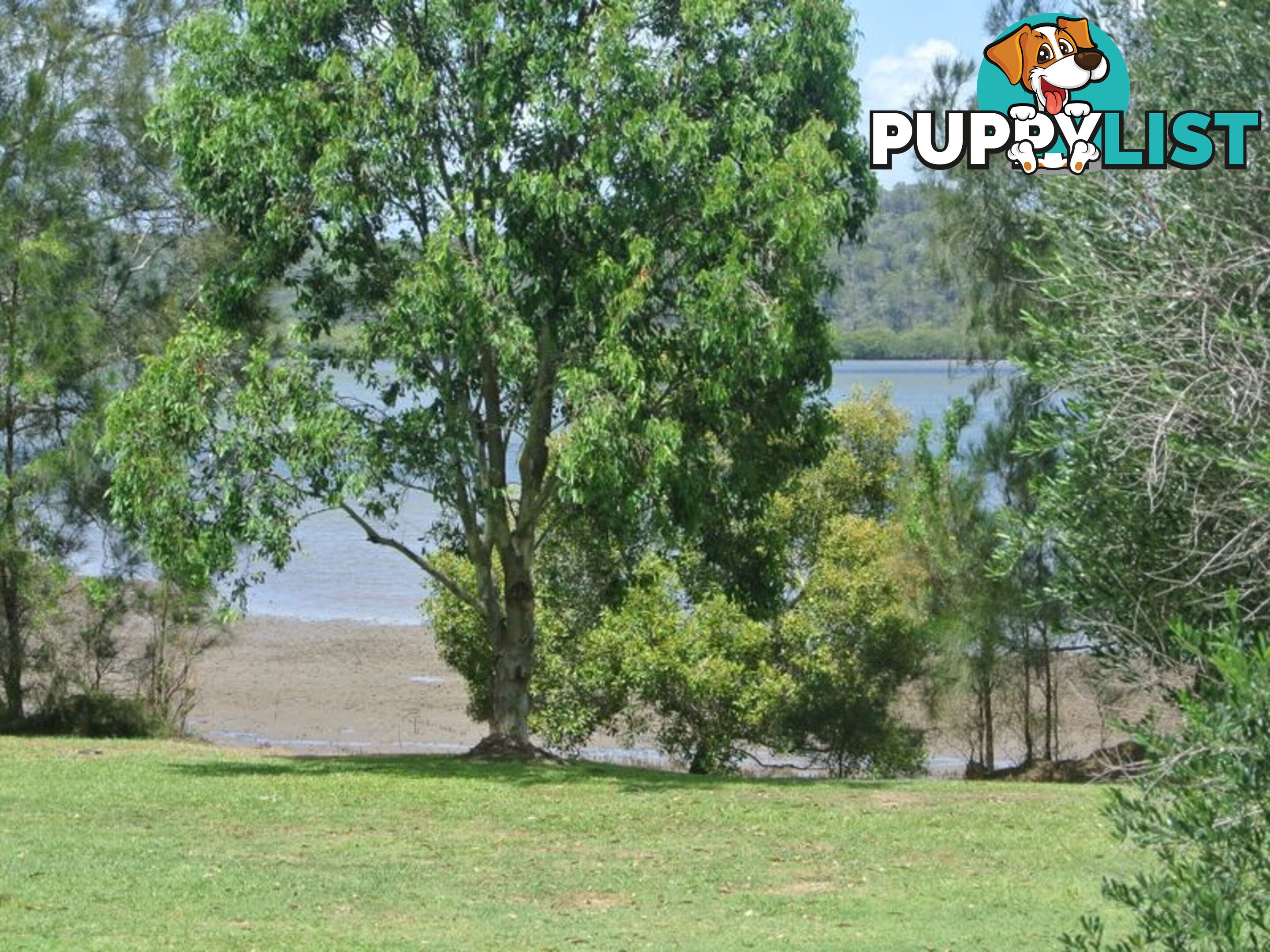 104 canaipa point drive RUSSELL ISLAND QLD 4184