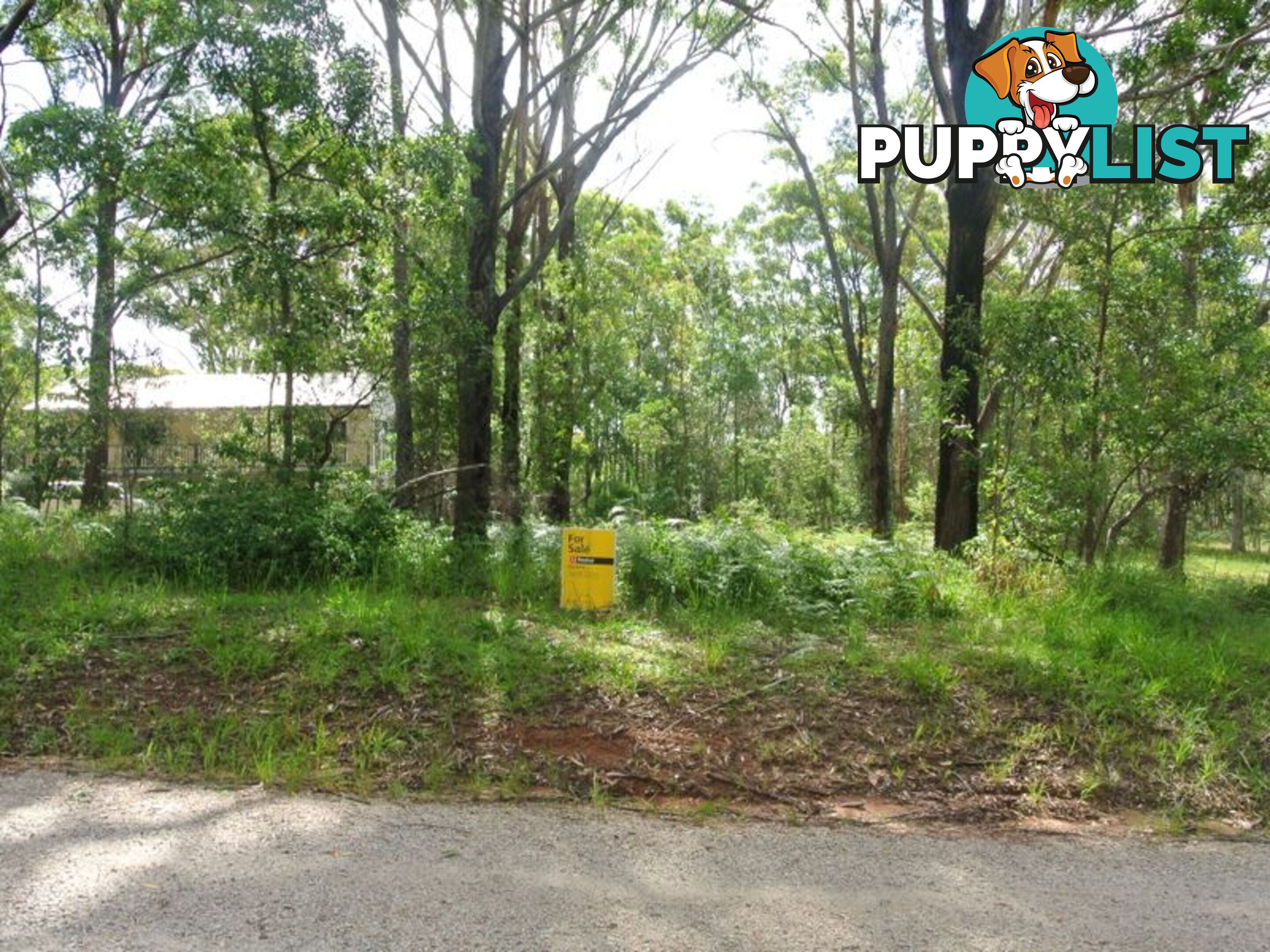 104 canaipa point drive RUSSELL ISLAND QLD 4184