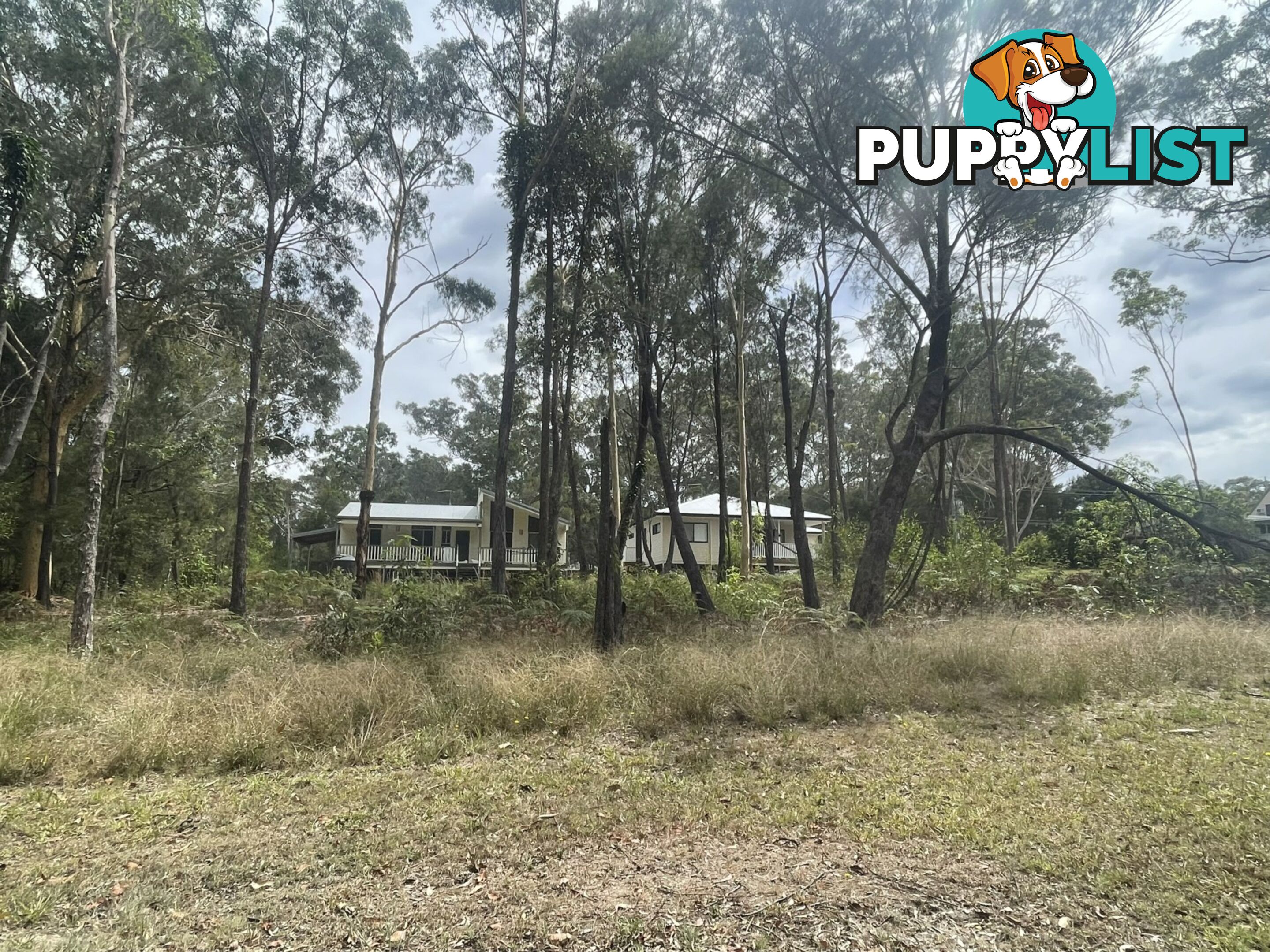 3 Emerald Street RUSSELL ISLAND QLD 4184
