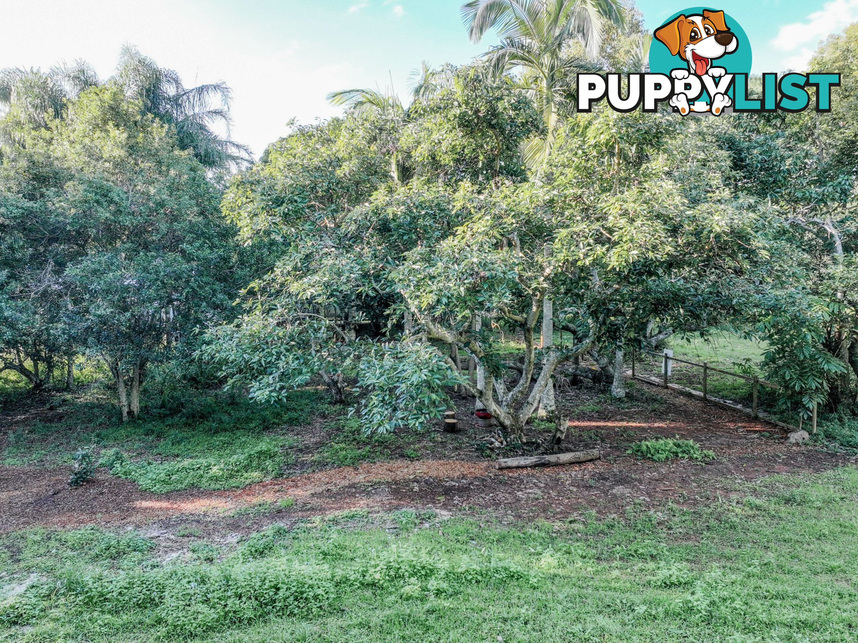 3 Beryl Street RUSSELL ISLAND QLD 4184