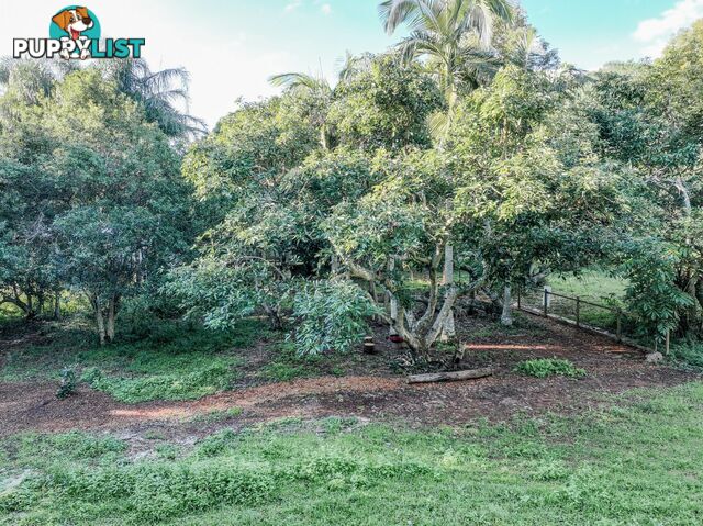 3 Beryl Street RUSSELL ISLAND QLD 4184