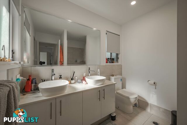 12 Callistemon Street RUSSELL ISLAND QLD 4184