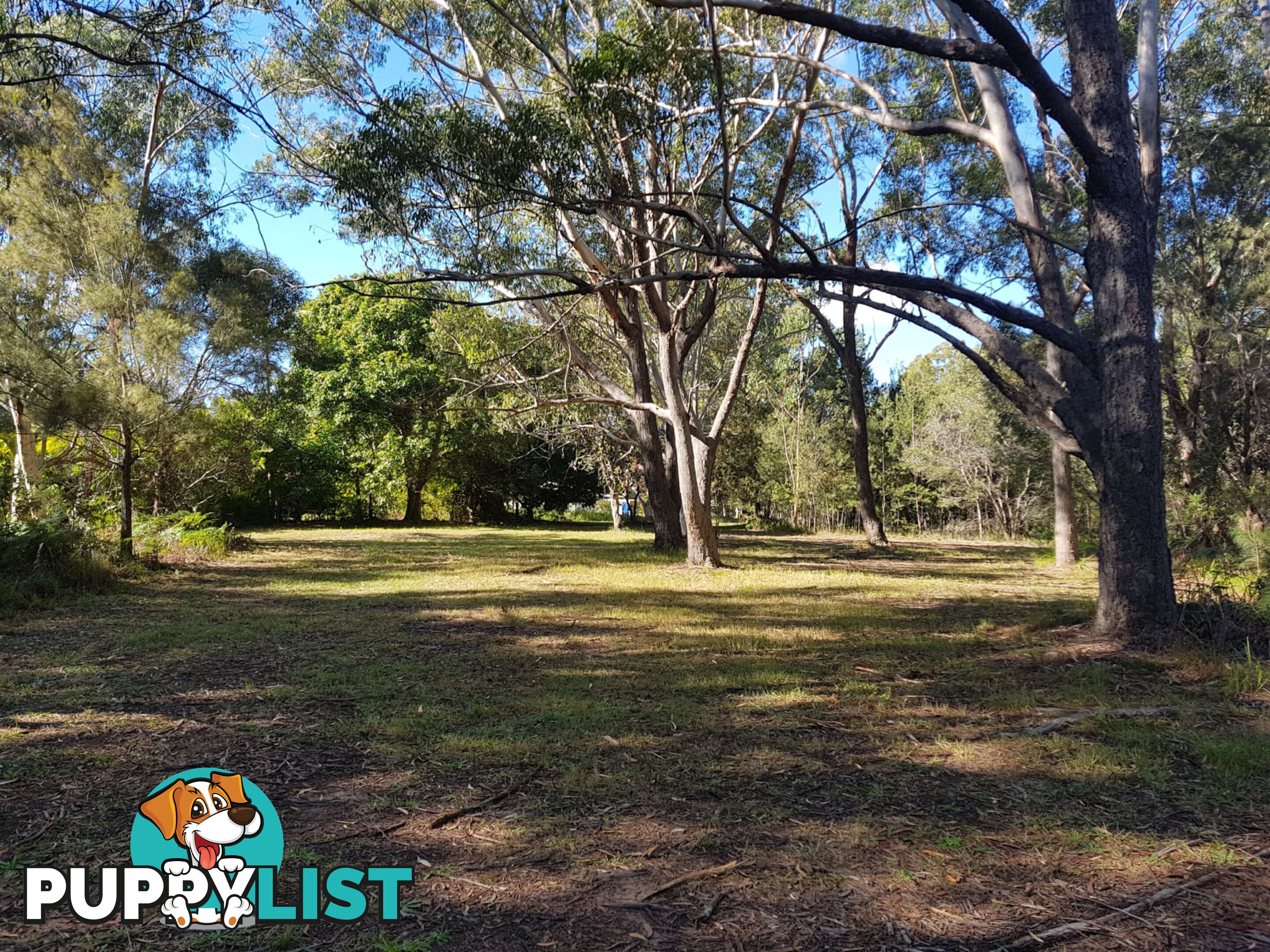 25 Loftus Crescent RUSSELL ISLAND QLD 4184