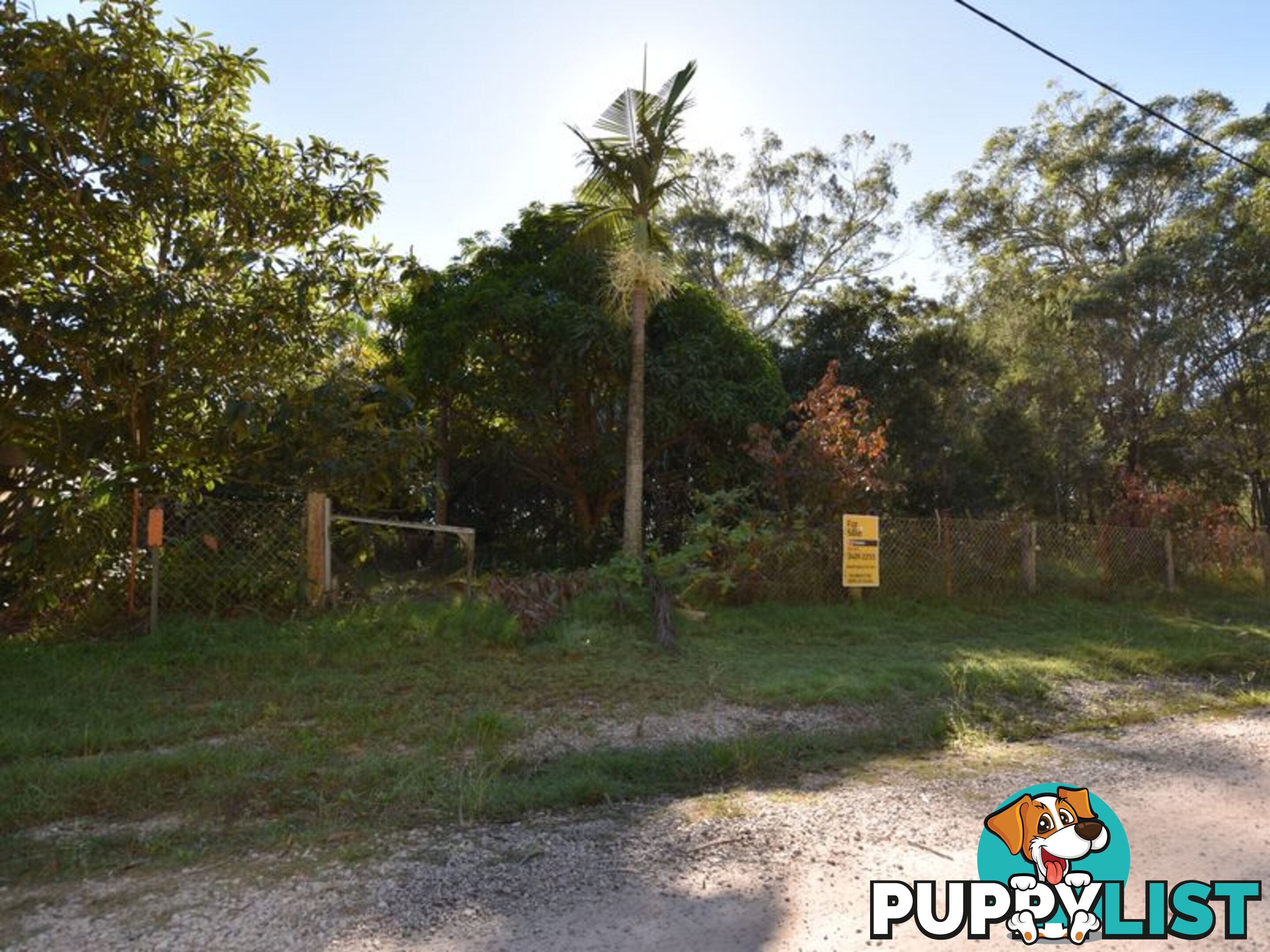 31 Harvey Street RUSSELL ISLAND QLD 4184