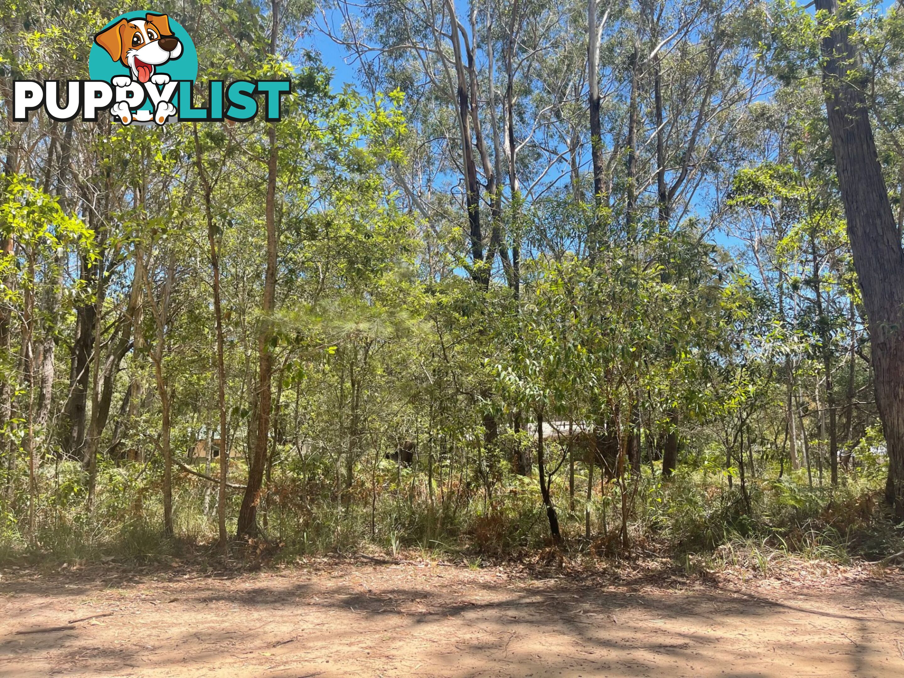 20 Fernando Road RUSSELL ISLAND QLD 4184