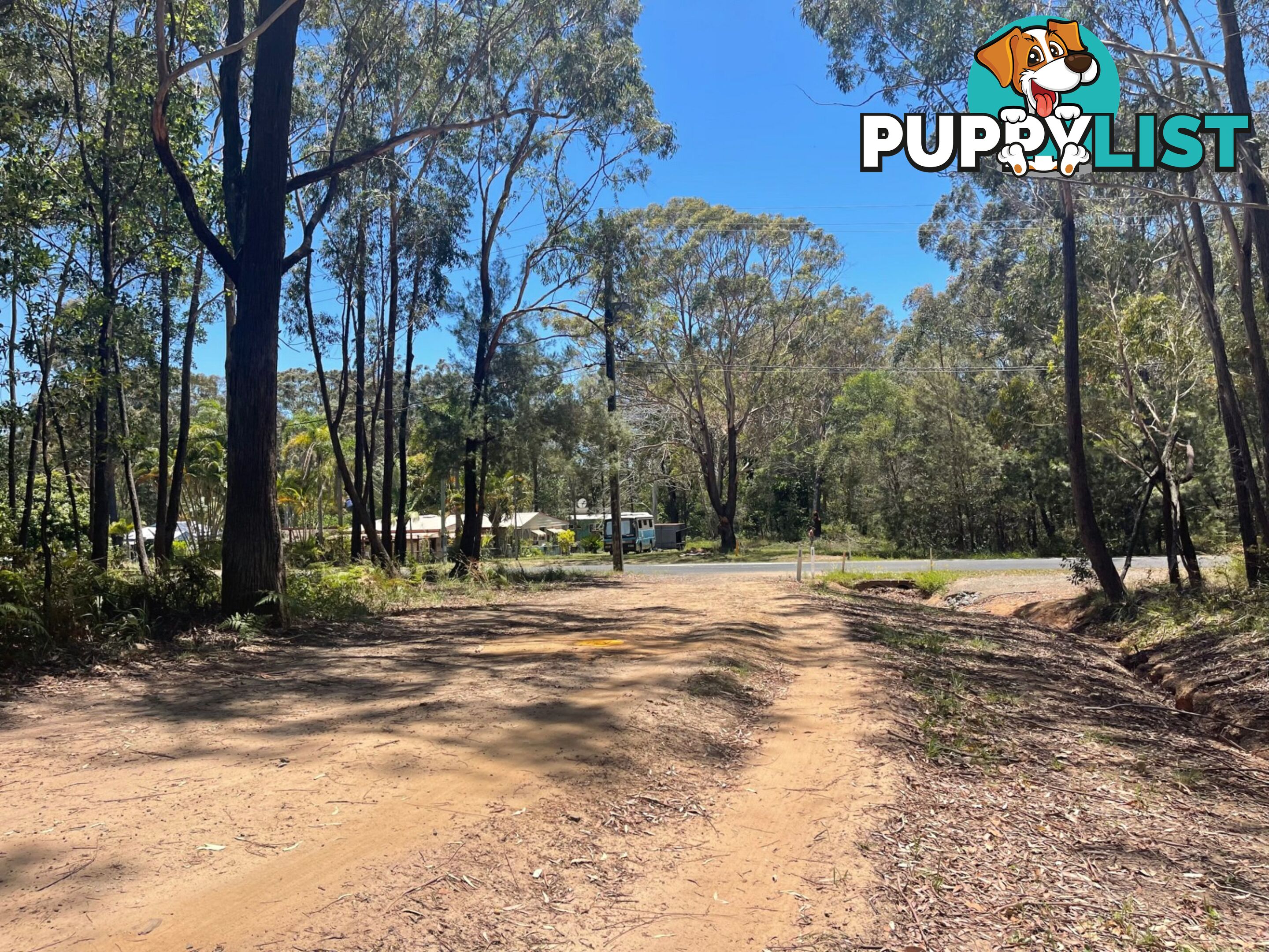 20 Fernando Road RUSSELL ISLAND QLD 4184