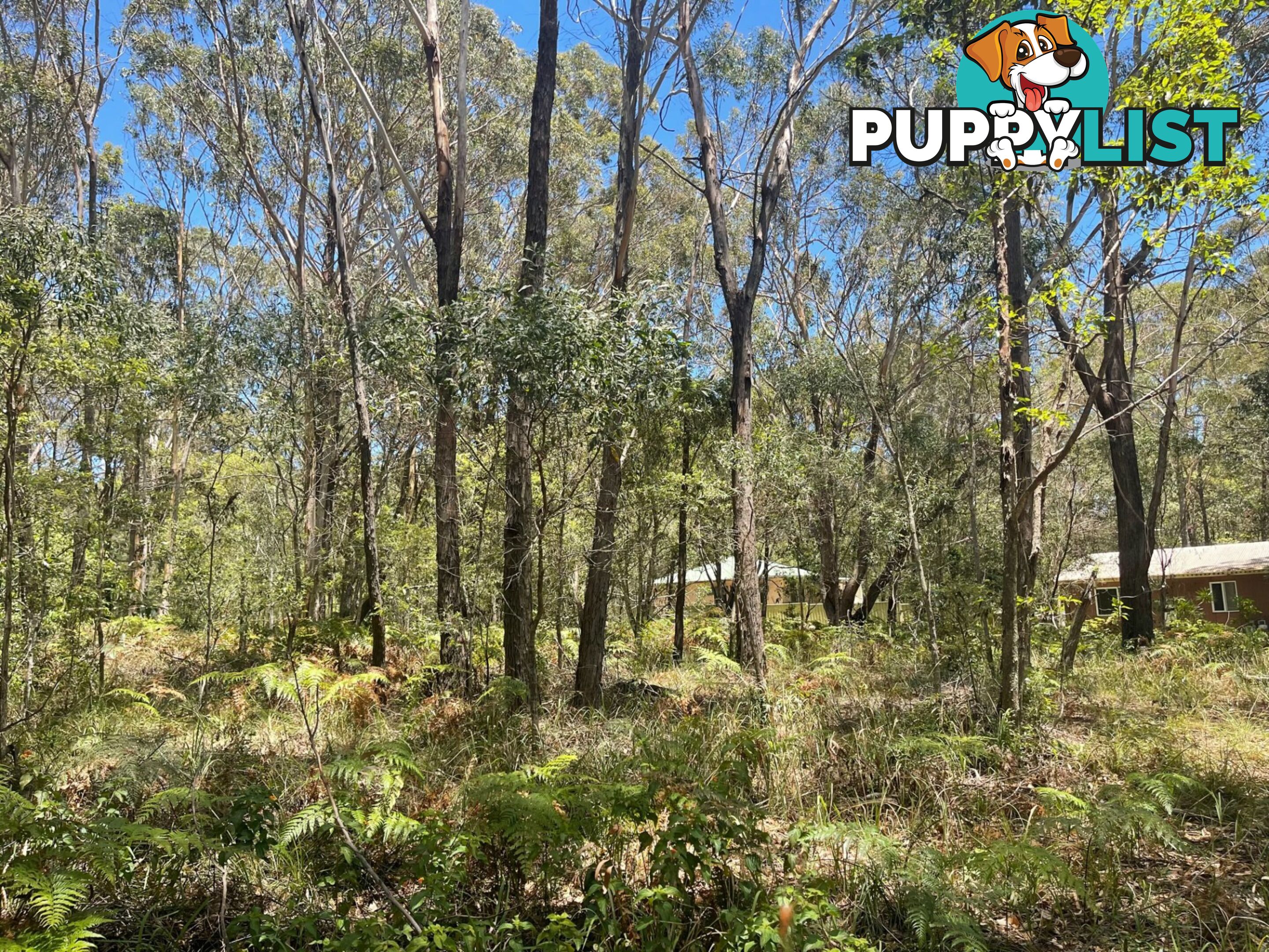 20 Fernando Road RUSSELL ISLAND QLD 4184