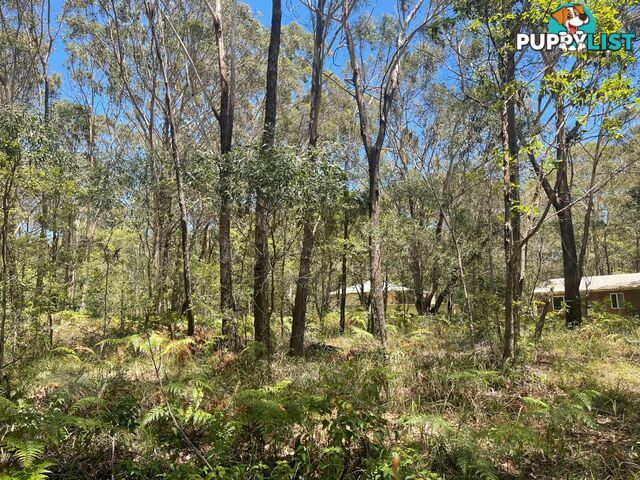 20 Fernando Road RUSSELL ISLAND QLD 4184