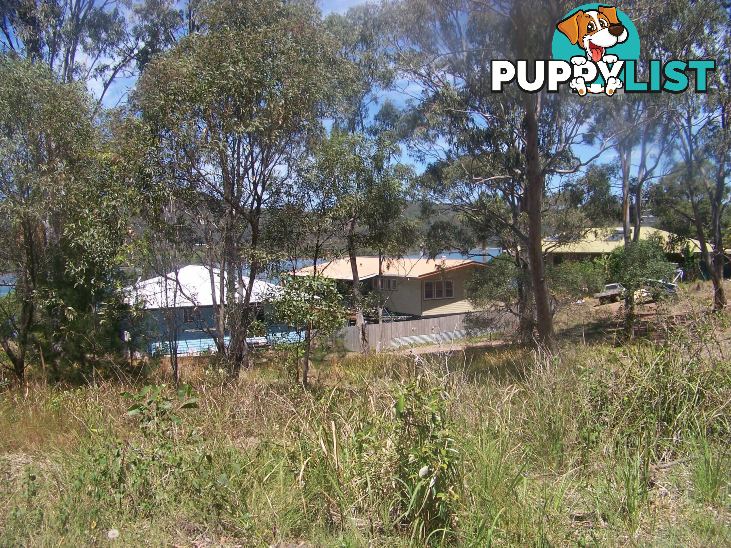 3 Island View RUSSELL ISLAND QLD 4184