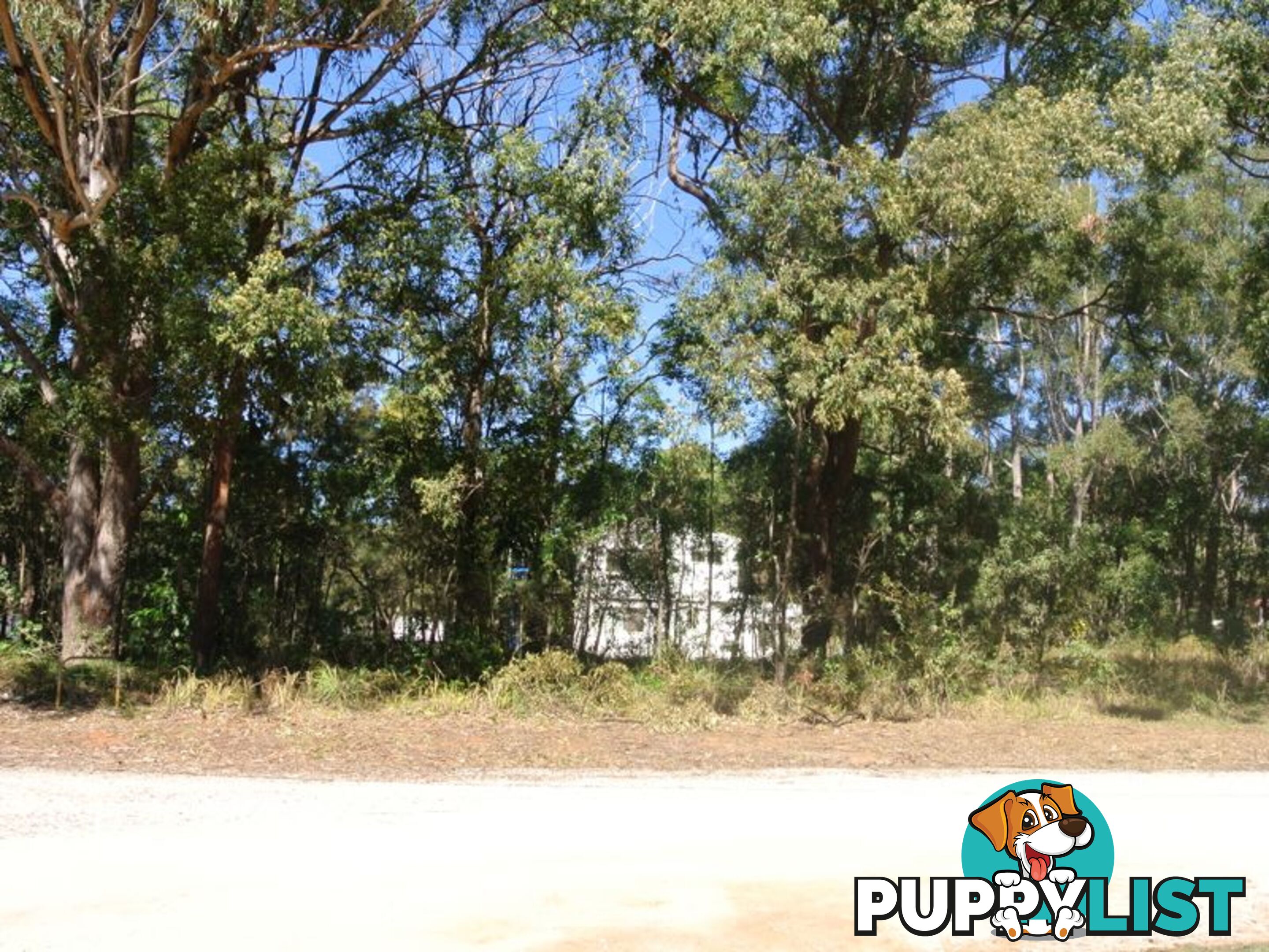 64 Harvey Street RUSSELL ISLAND QLD 4184