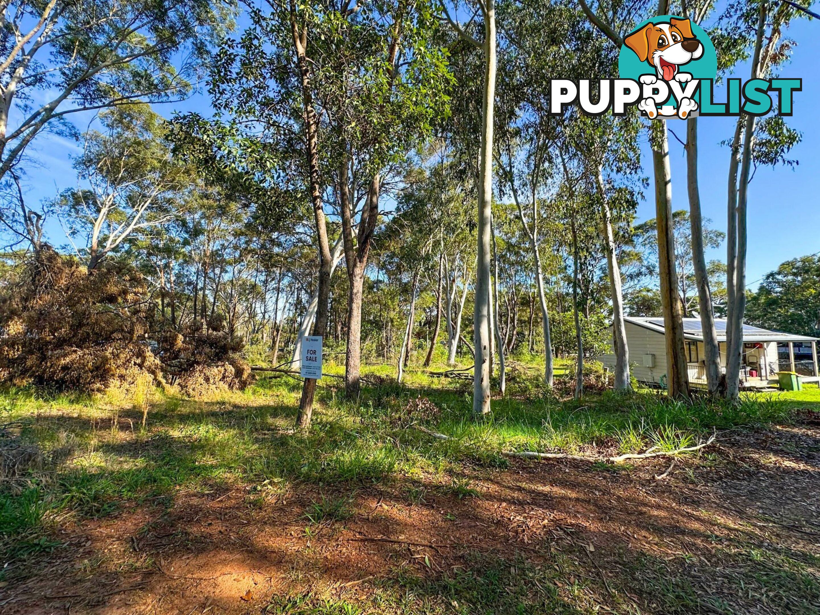16 Coleus Street RUSSELL ISLAND QLD 4184