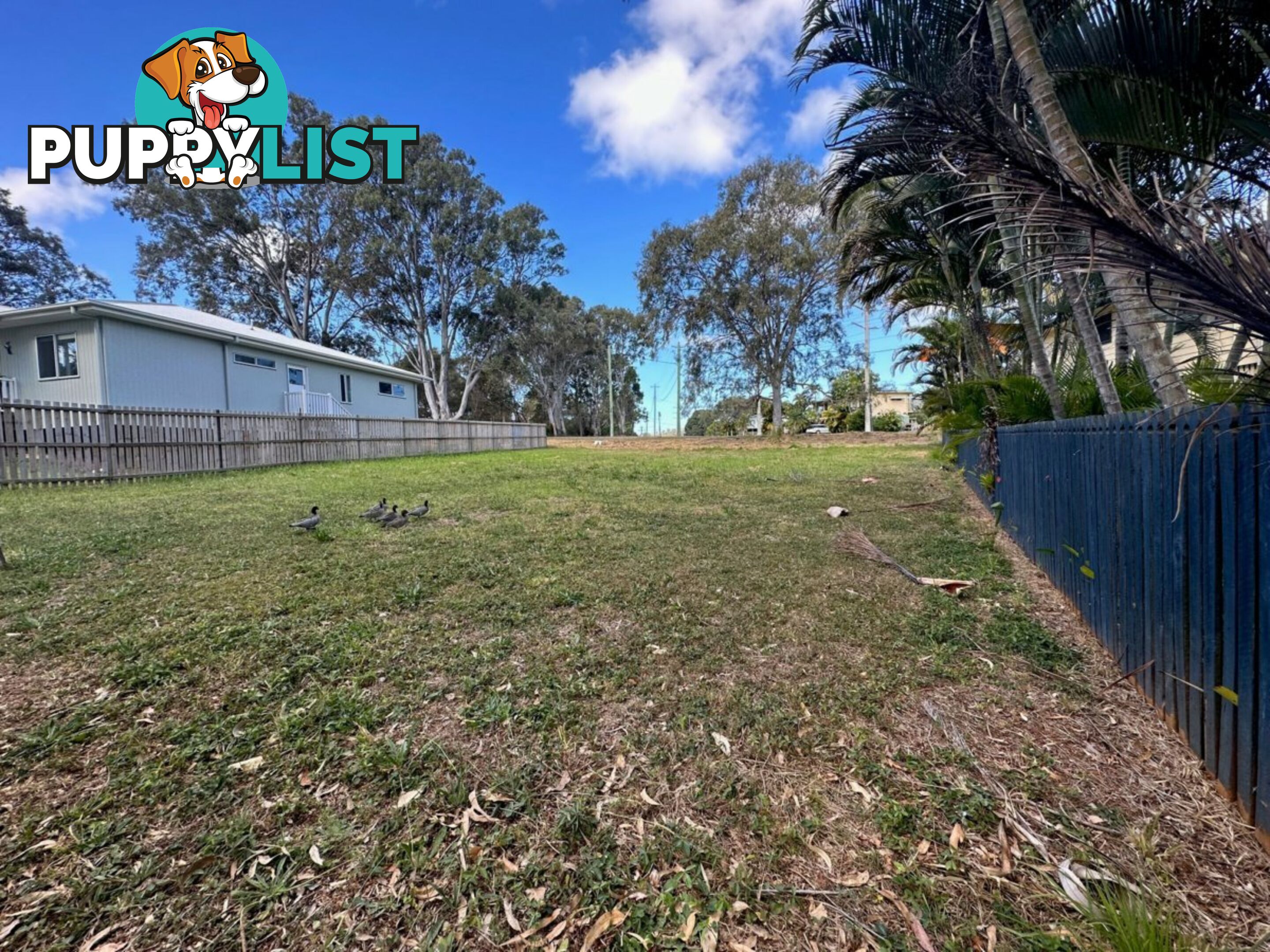 6 TENNYSON COURT RUSSELL ISLAND QLD 4184